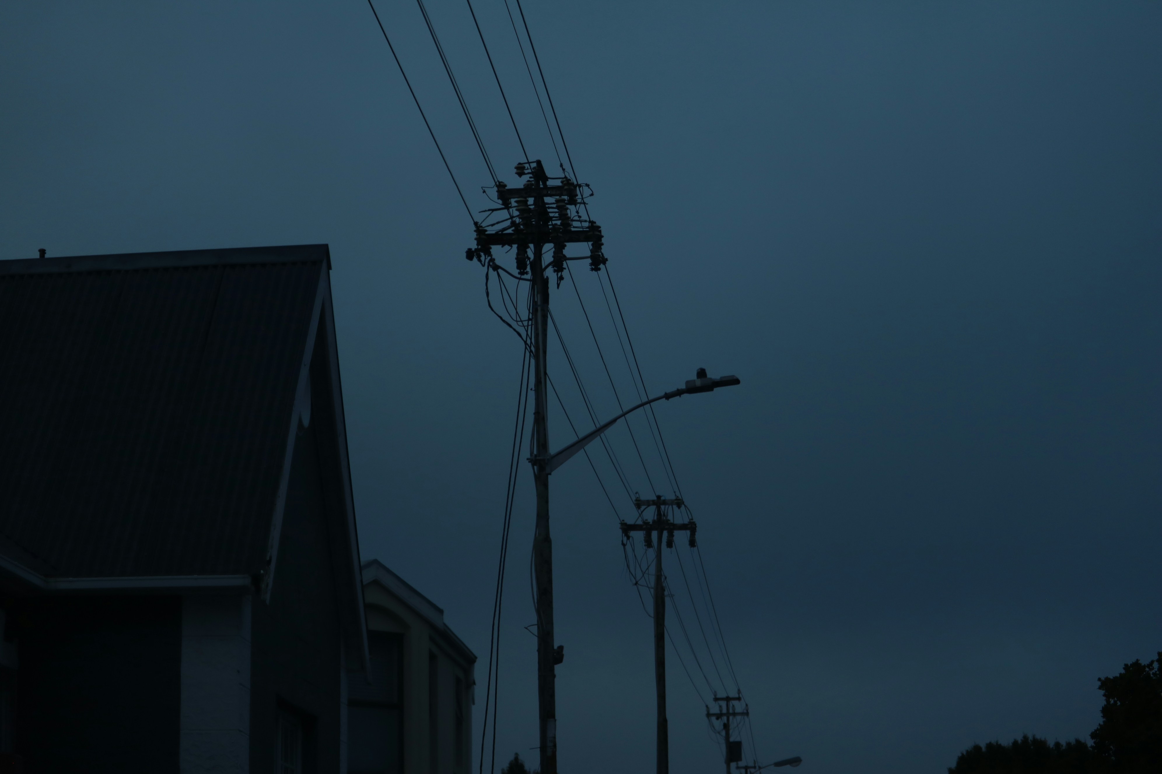 Photo by allysphotos