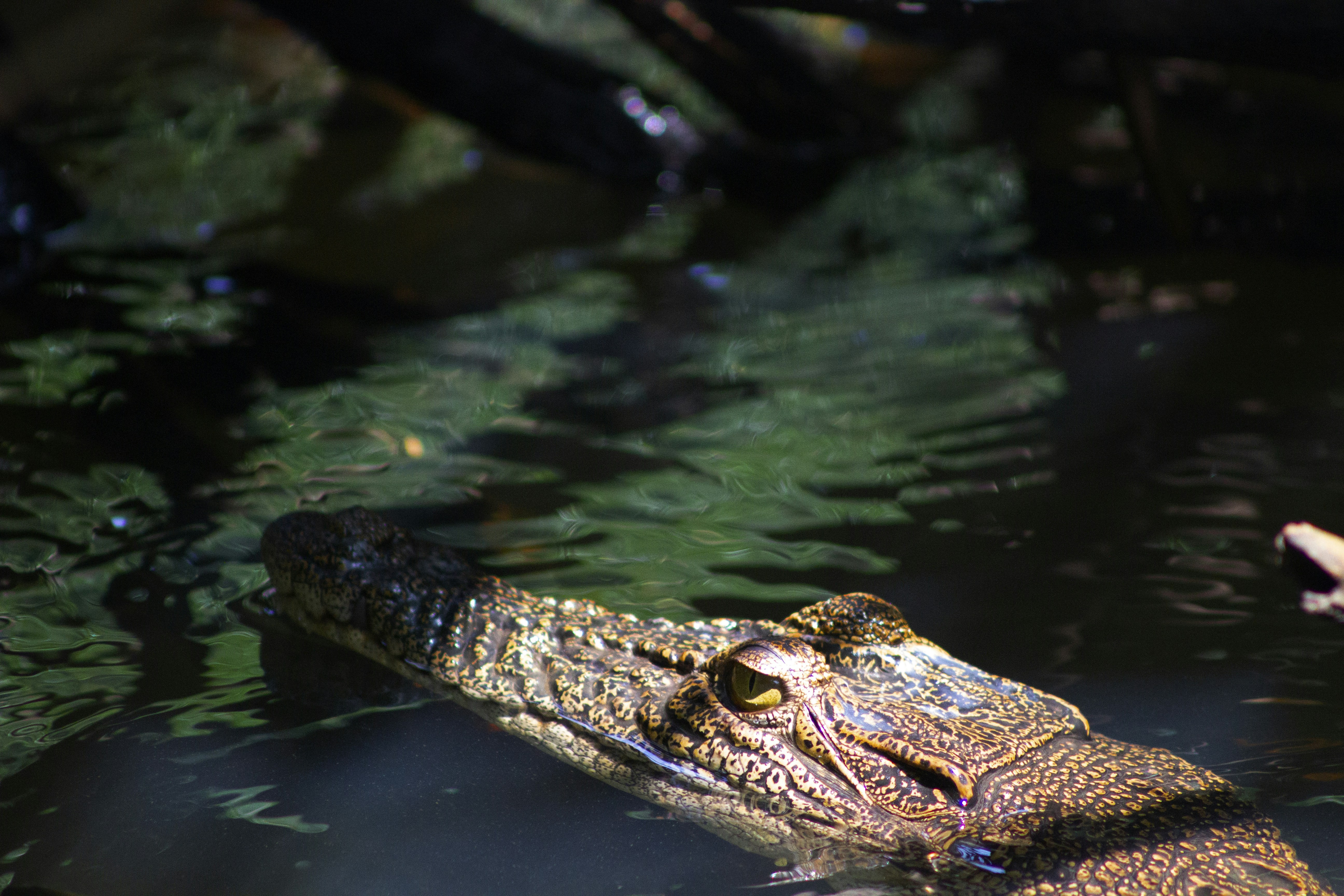 Photo by happy_sad_repeat