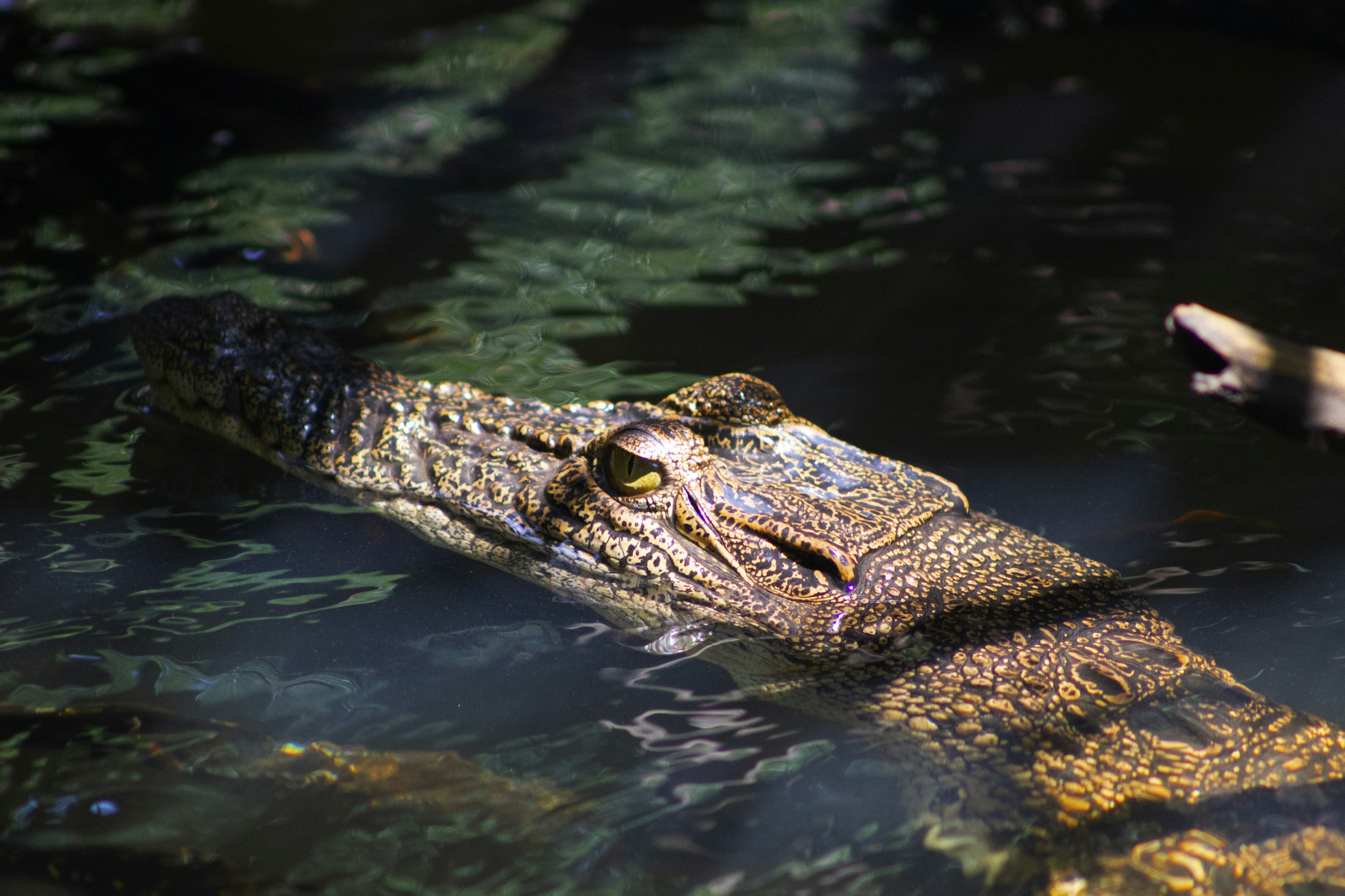 Photo by happy_sad_repeat