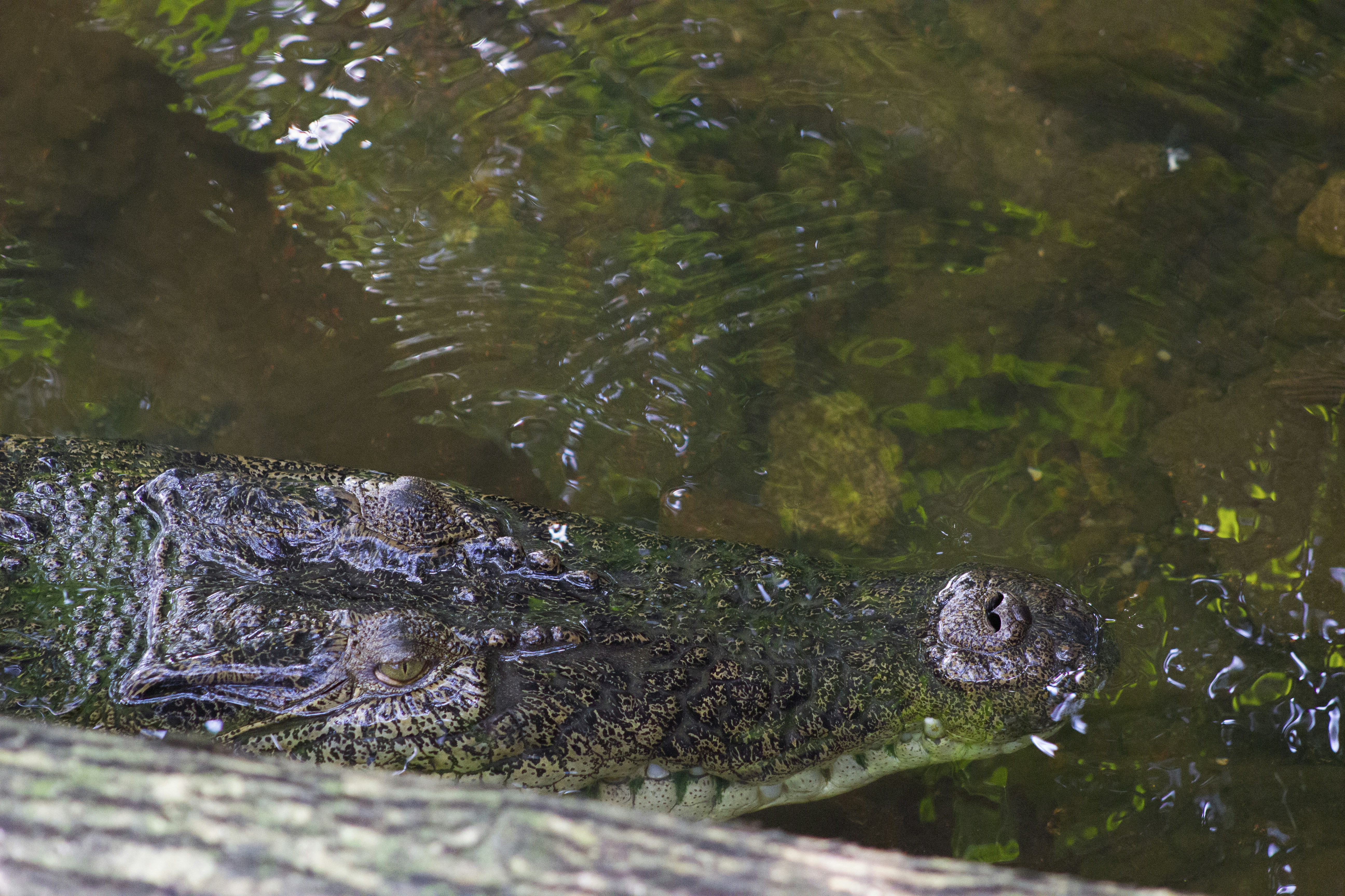 Photo by happy_sad_repeat