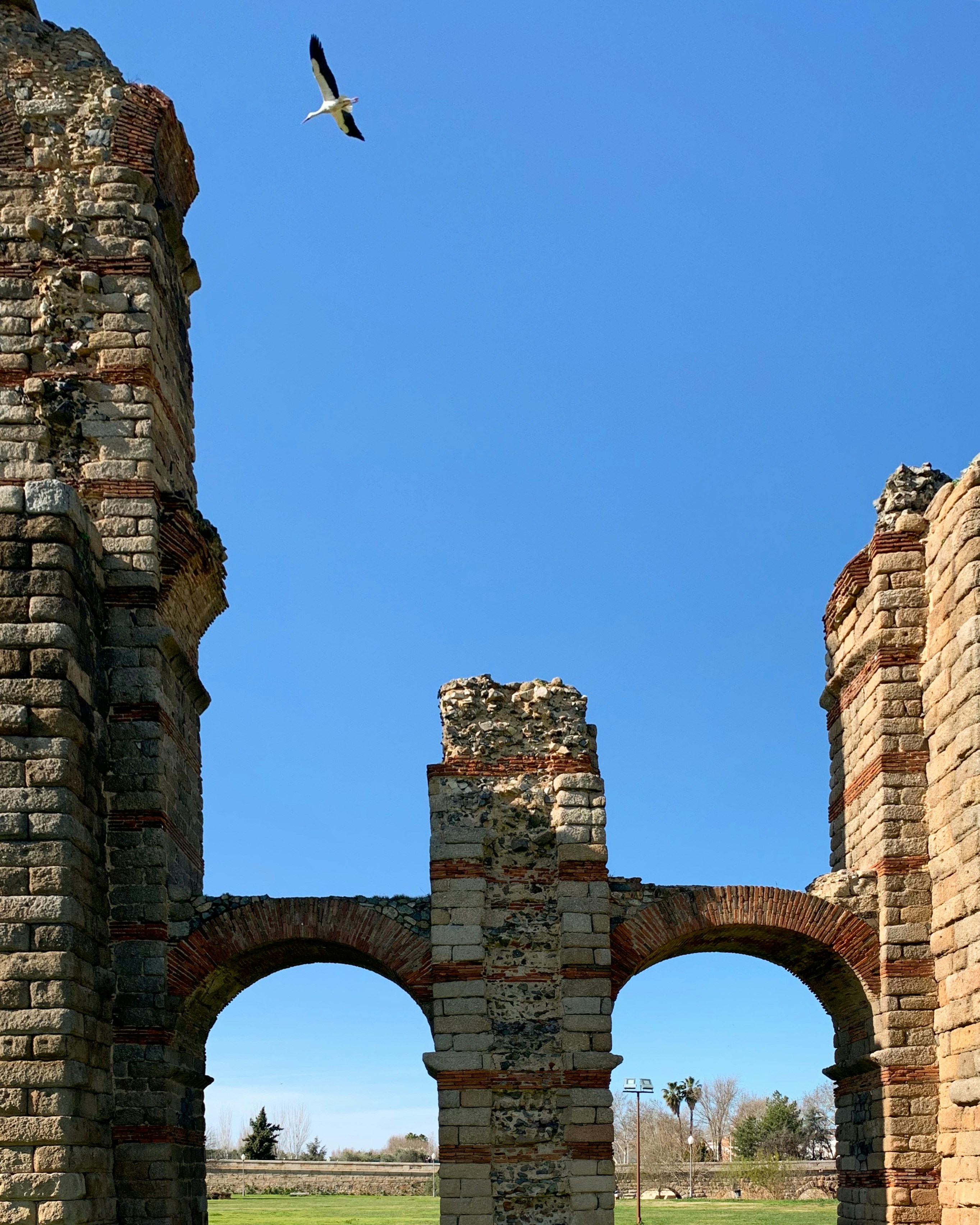 Bird flying over ancient roman aqueduct ruins