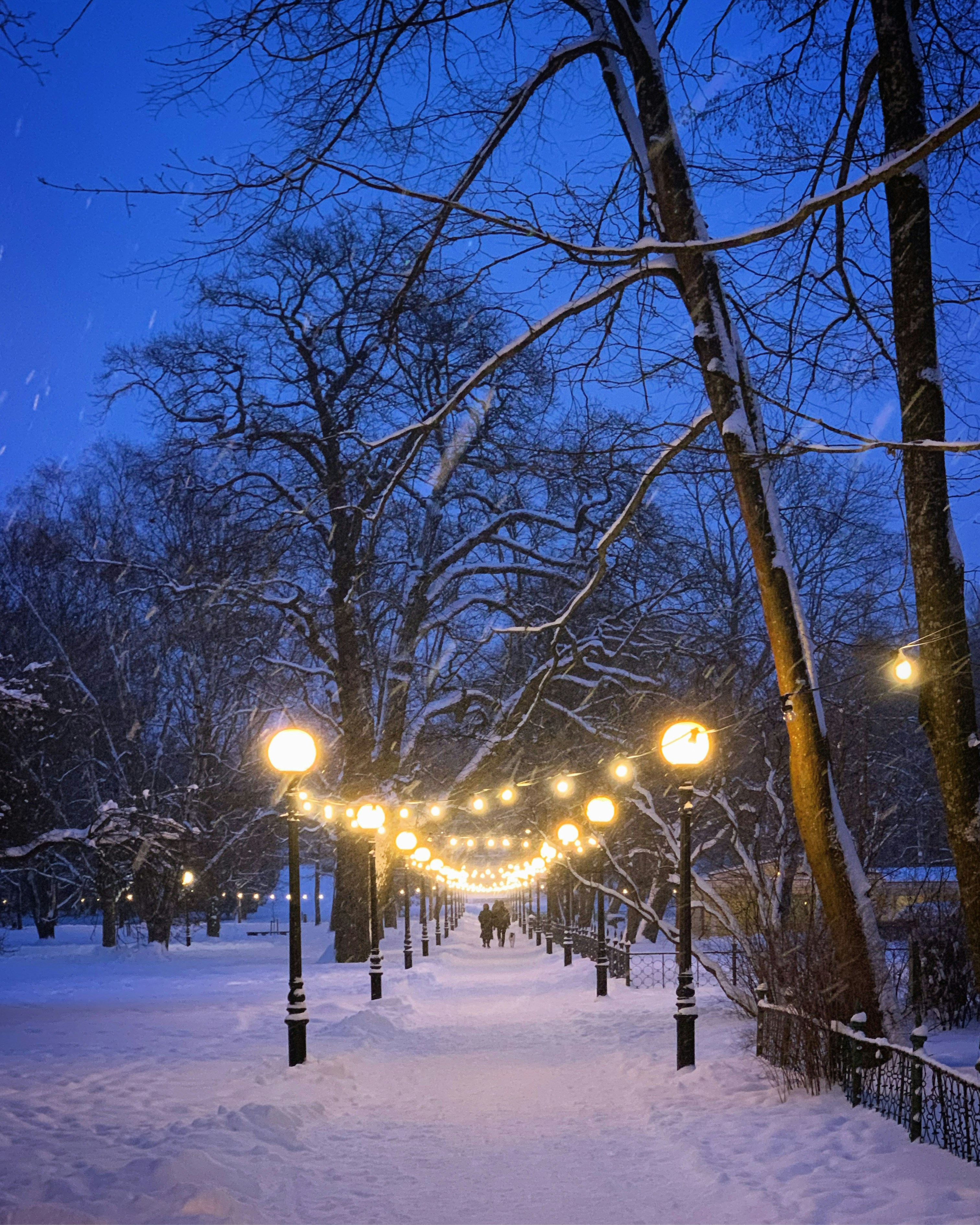 Photo by sergei_gussev