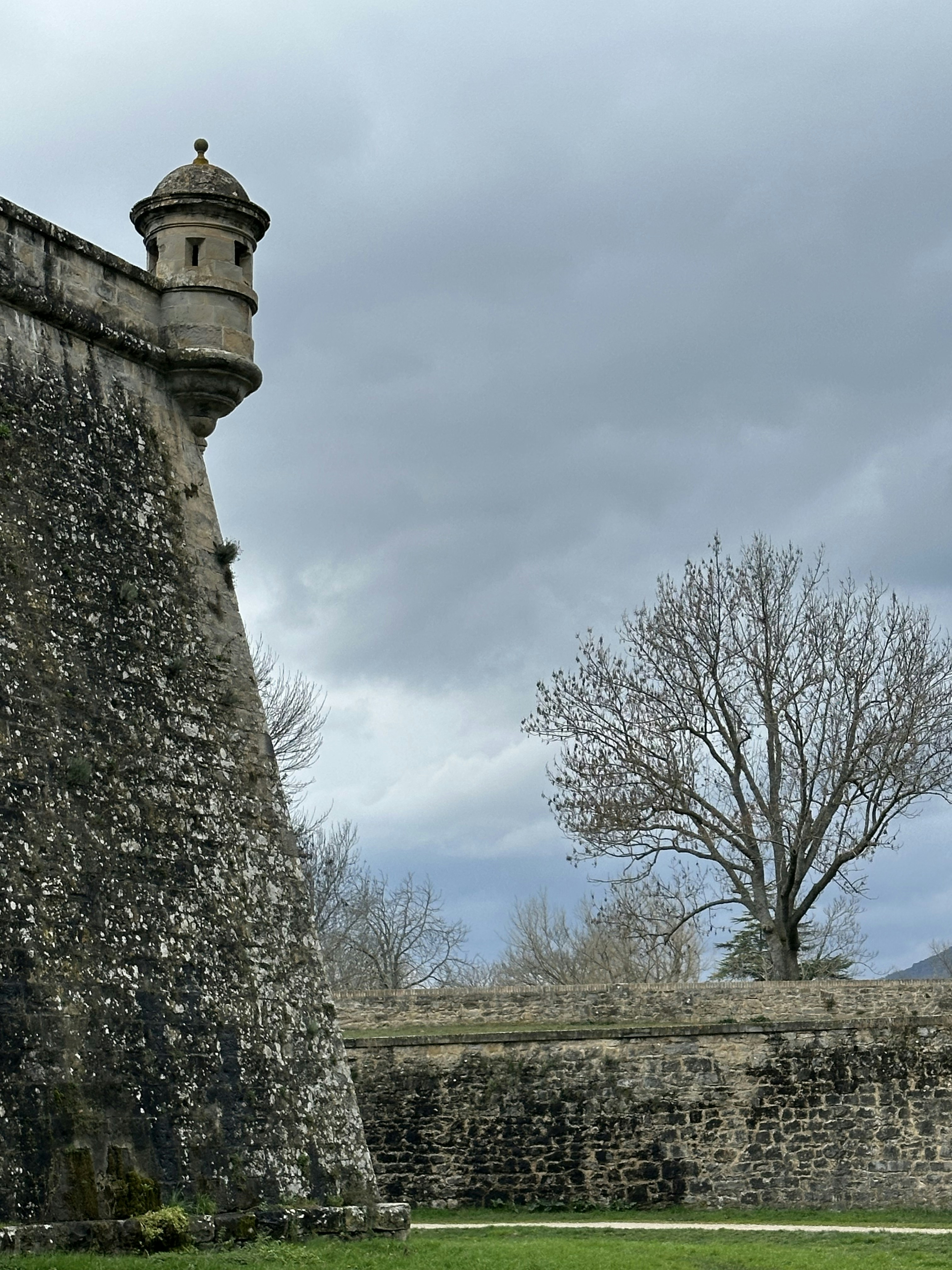 Photo by sergei_gussev