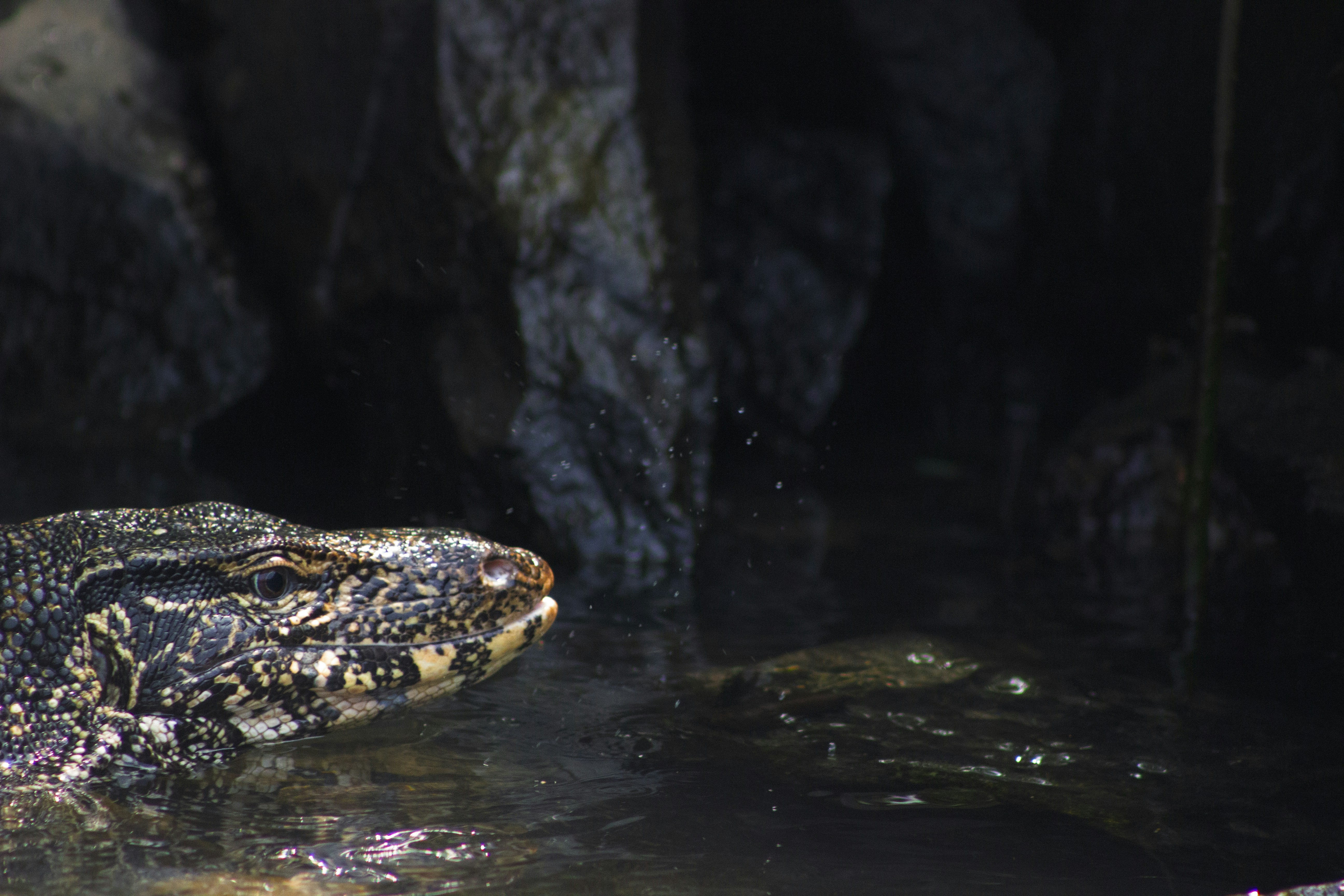 Photo by happy_sad_repeat