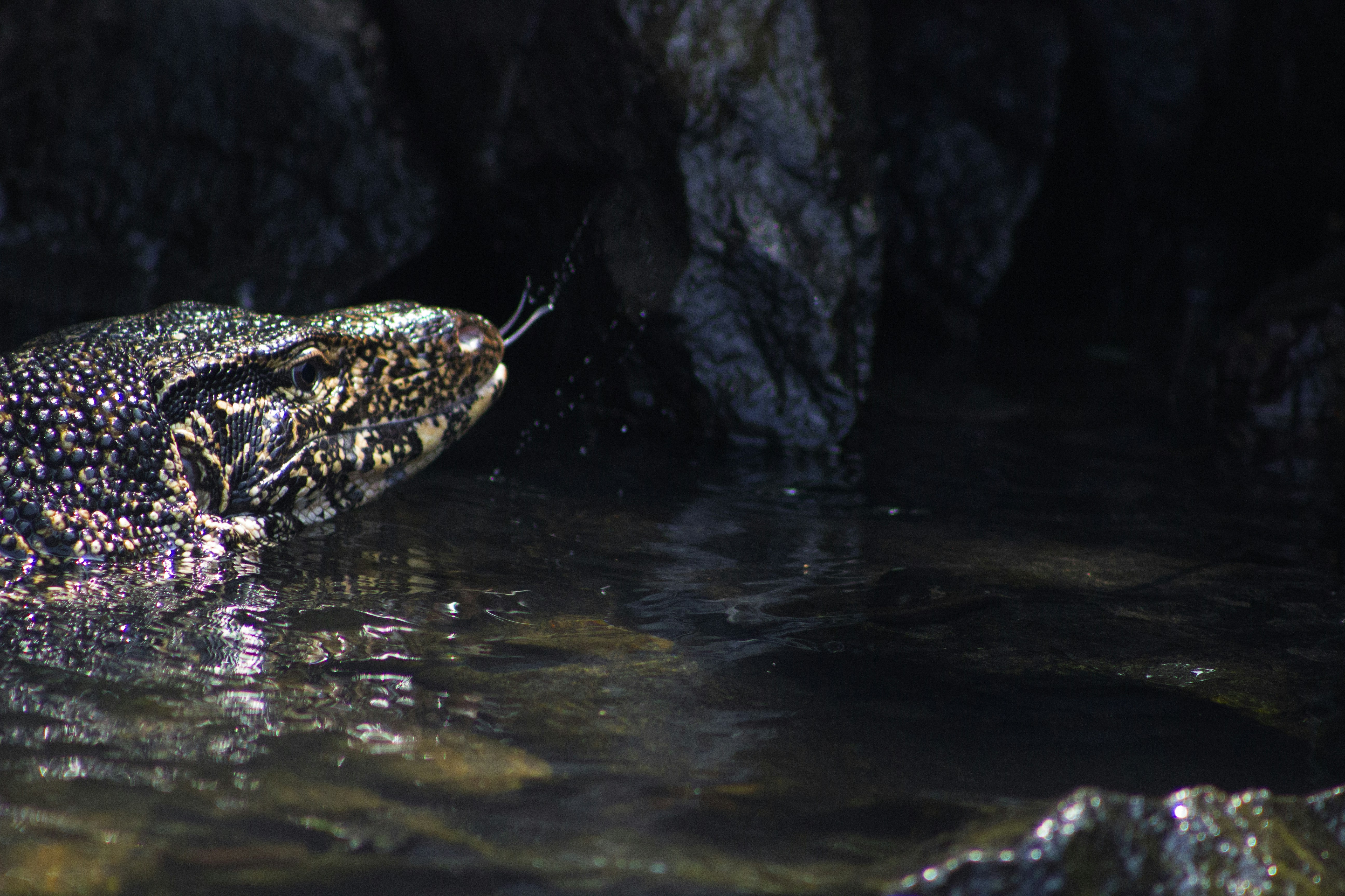 Photo by happy_sad_repeat