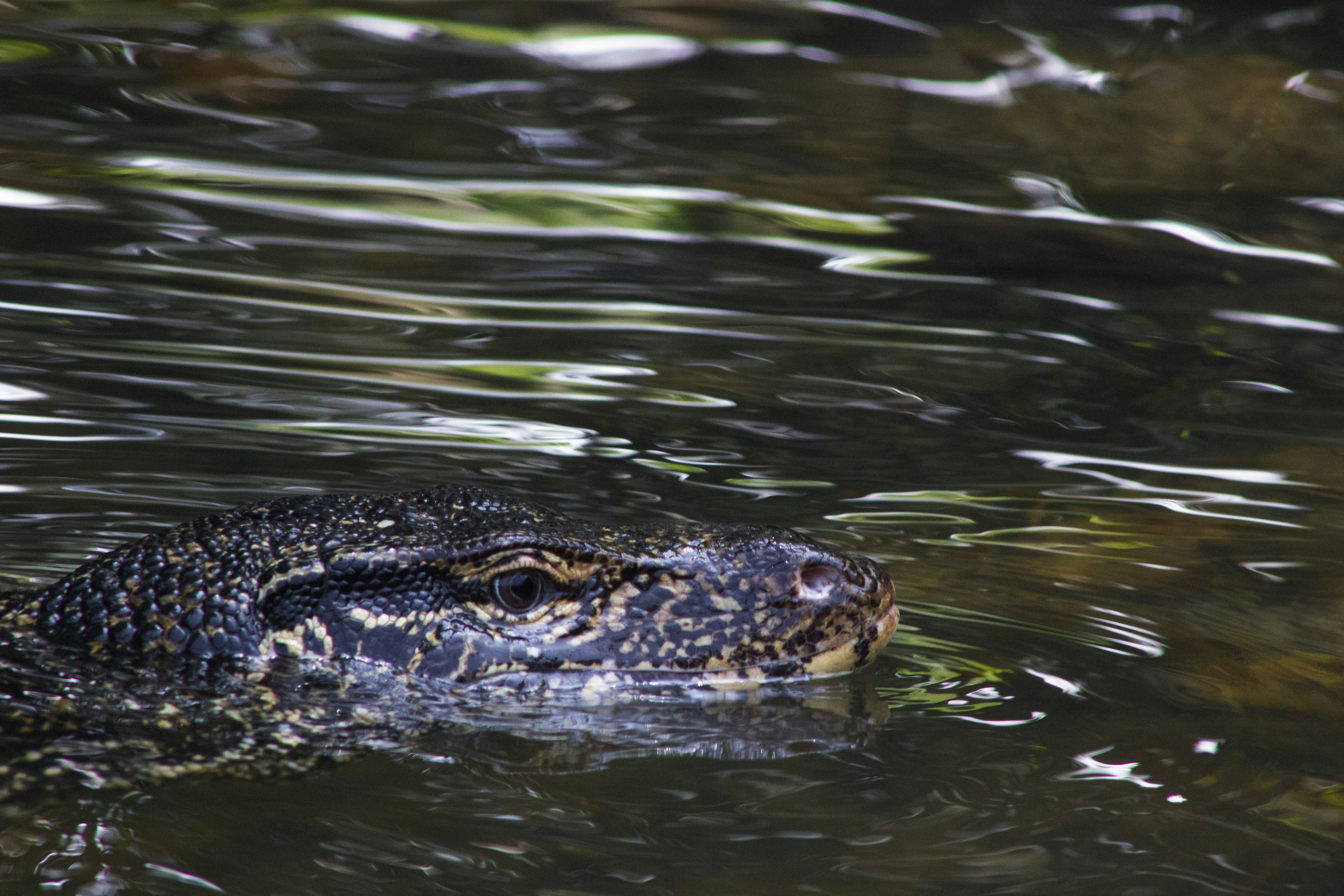 Photo by happy_sad_repeat