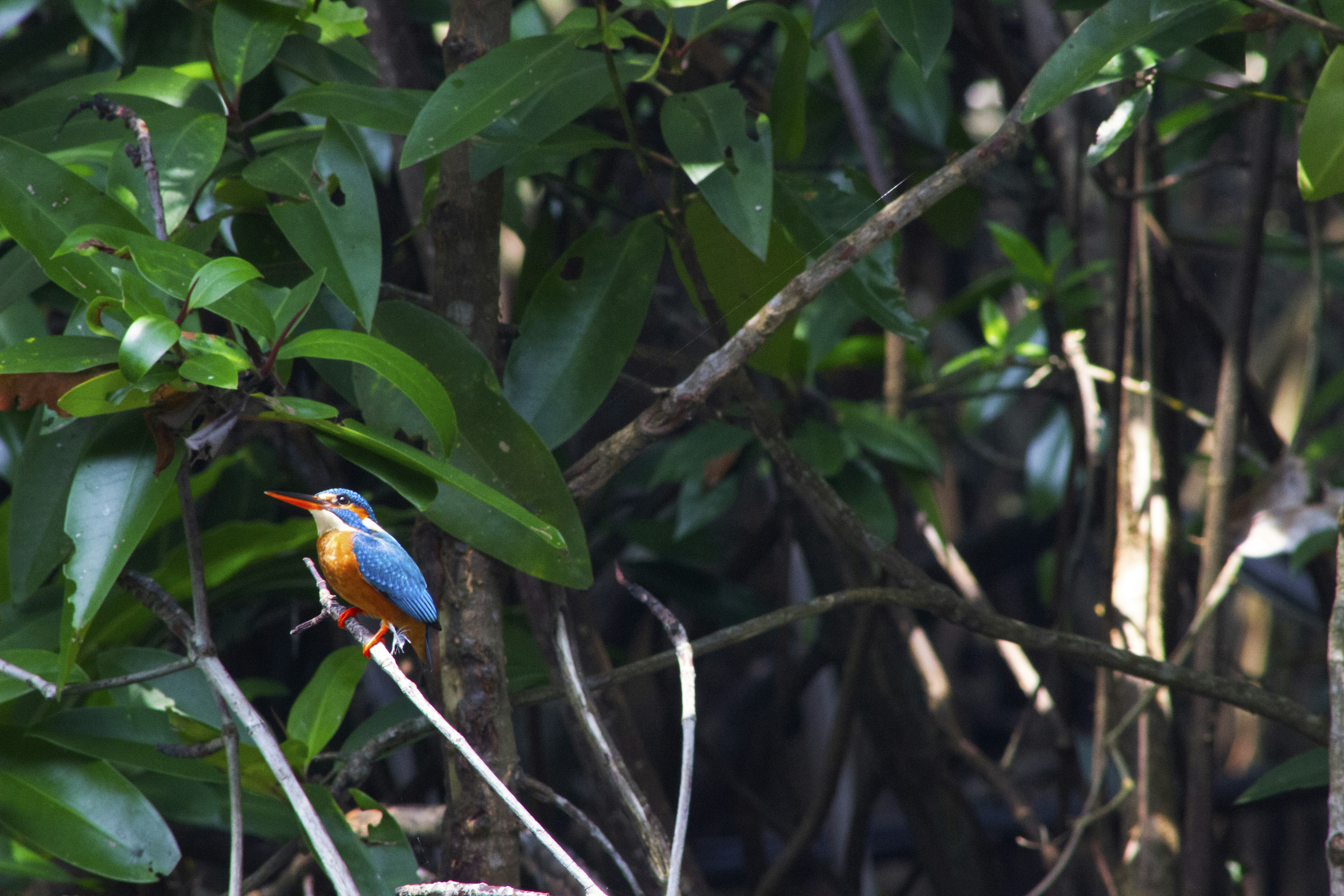 Photo by happy_sad_repeat