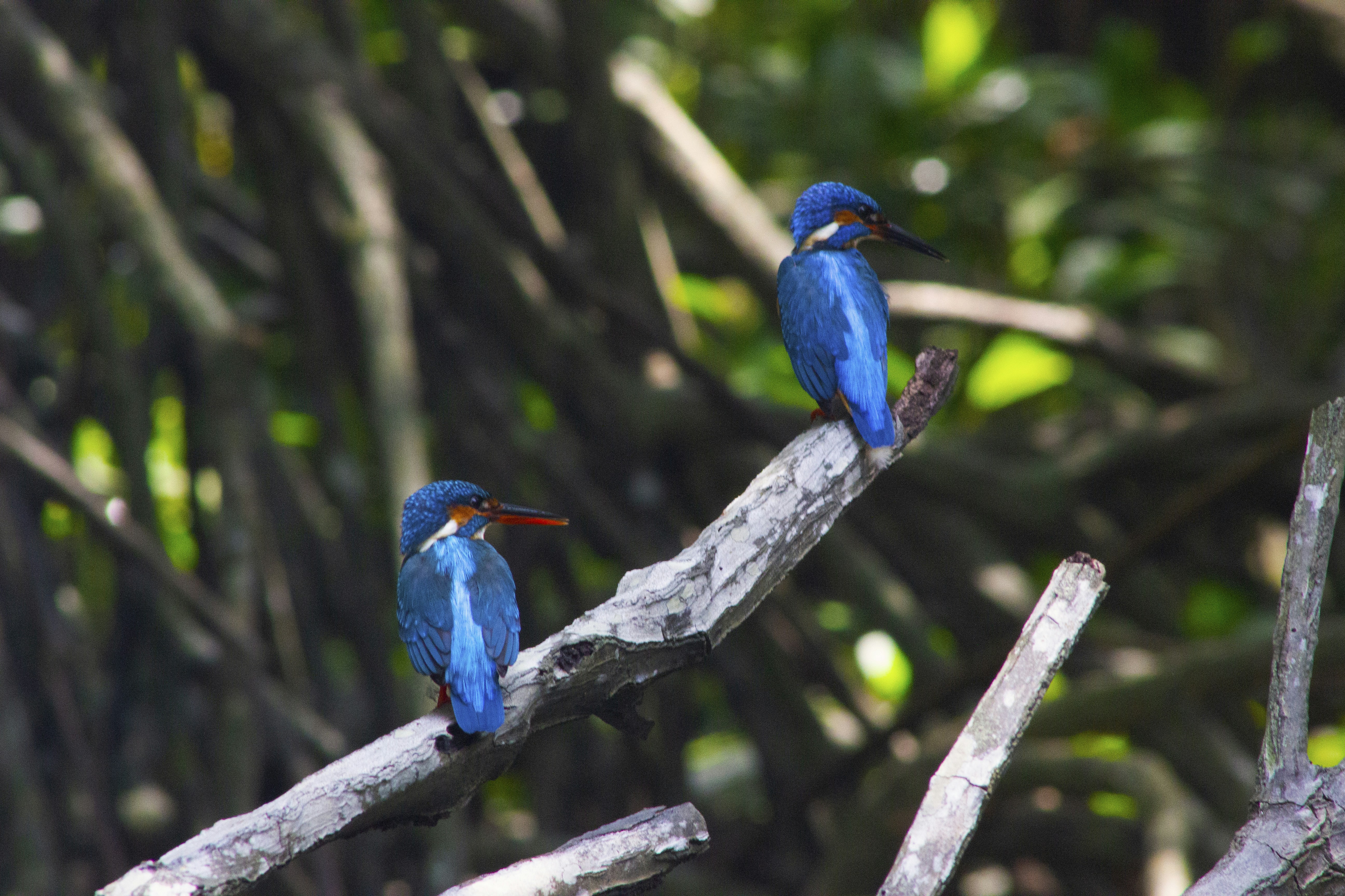 Photo by happy_sad_repeat