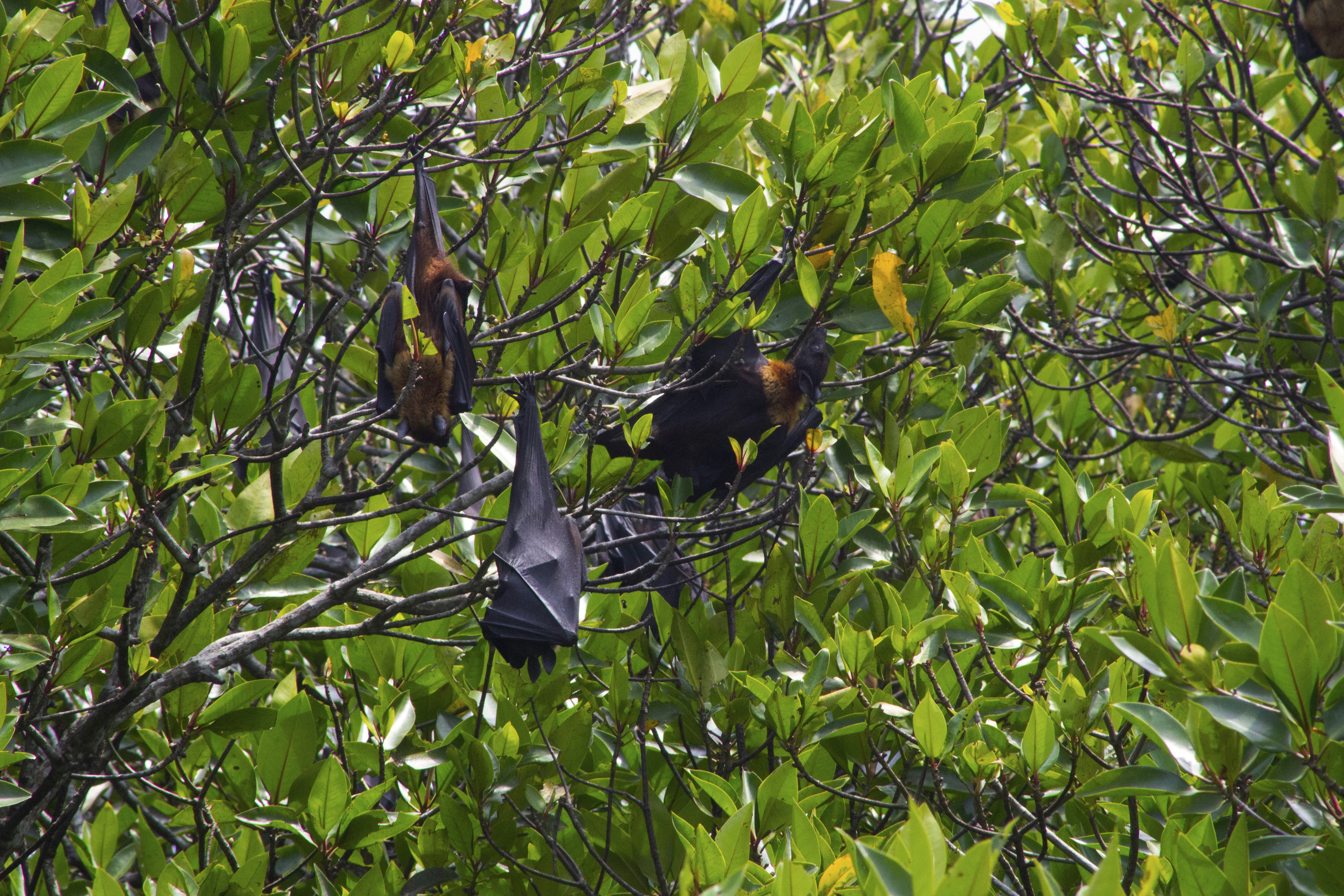 Photo by happy_sad_repeat