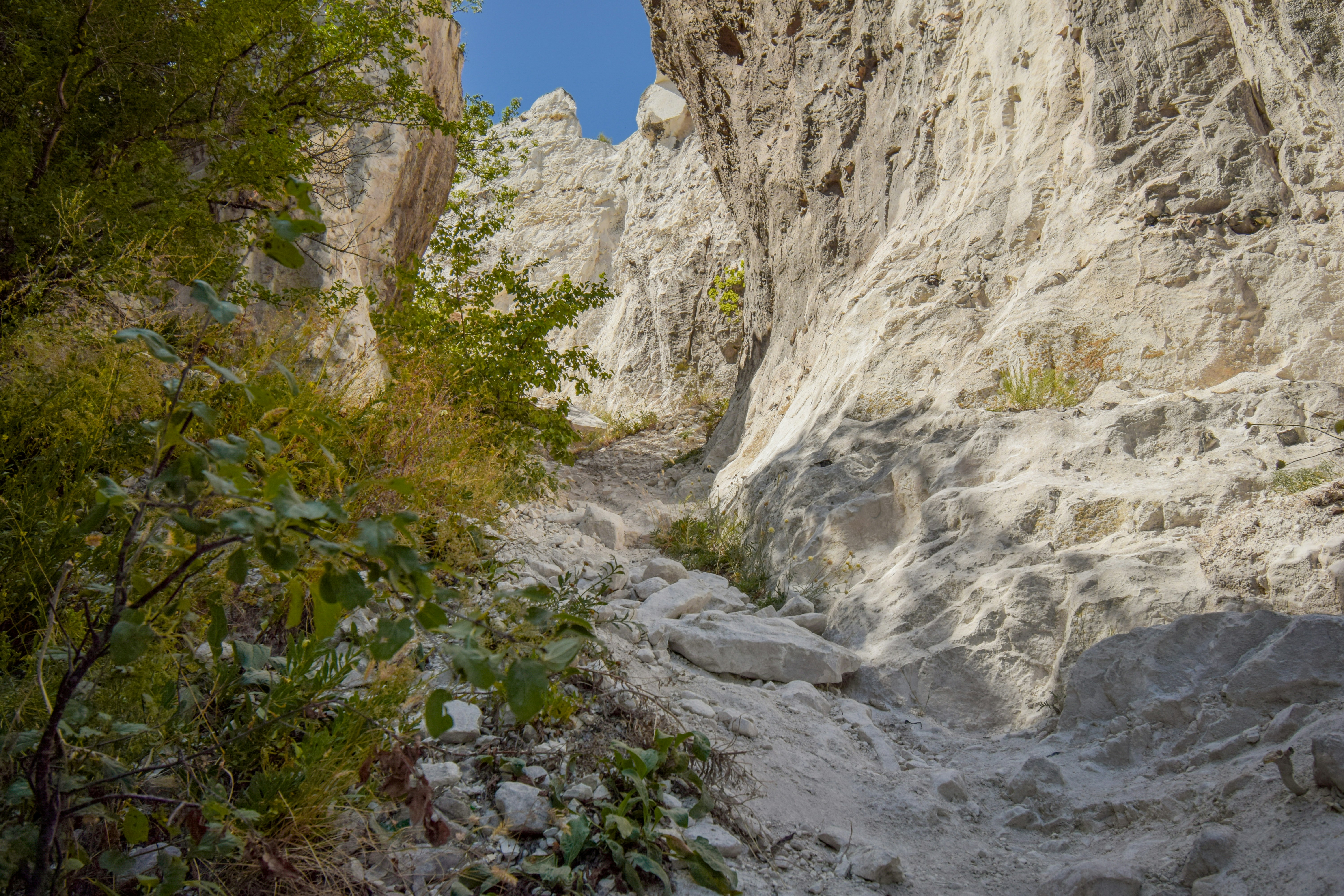 Rocky canyon path with sparse vegetation and sunlight