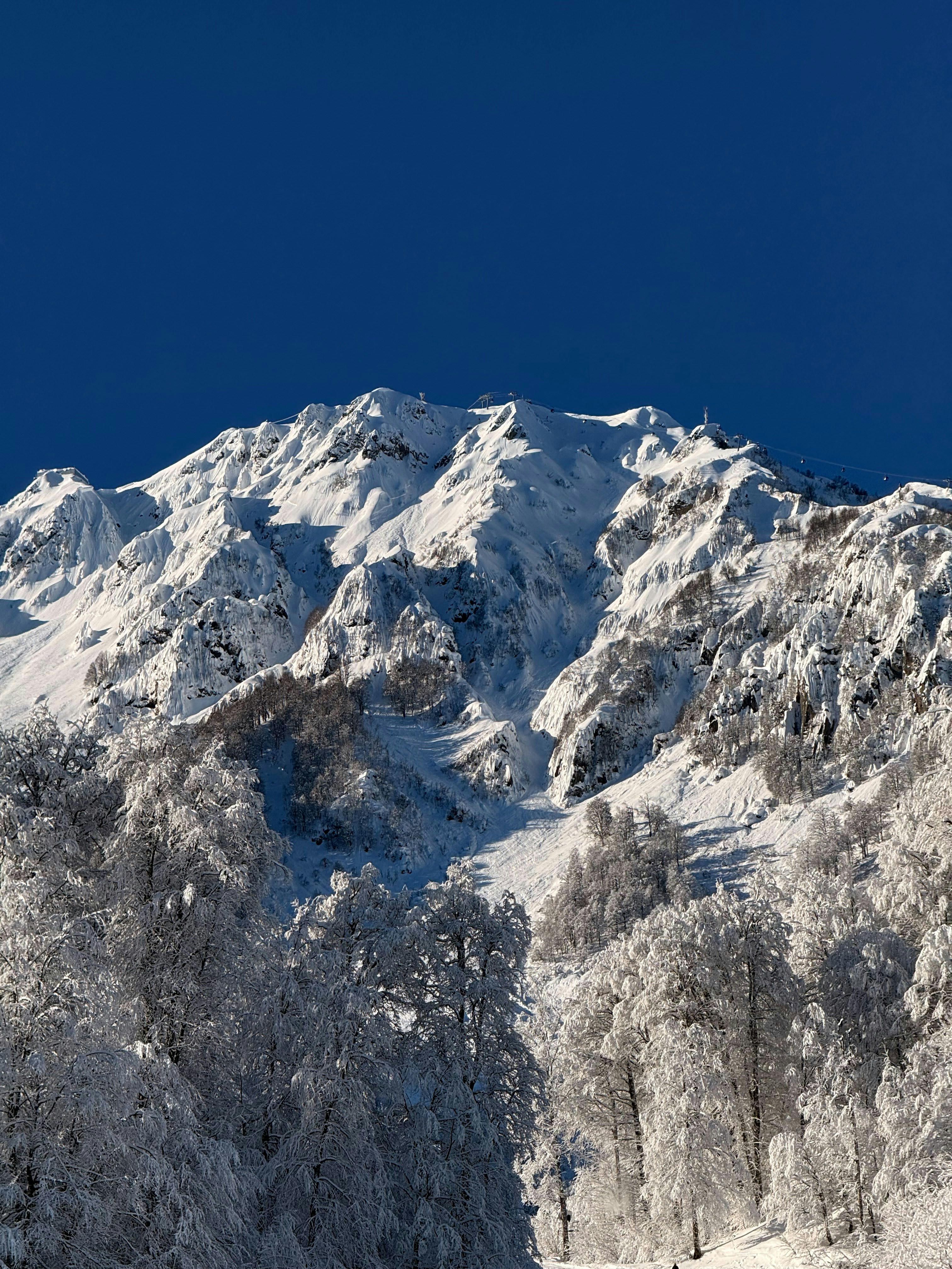 Photo by artemisss666