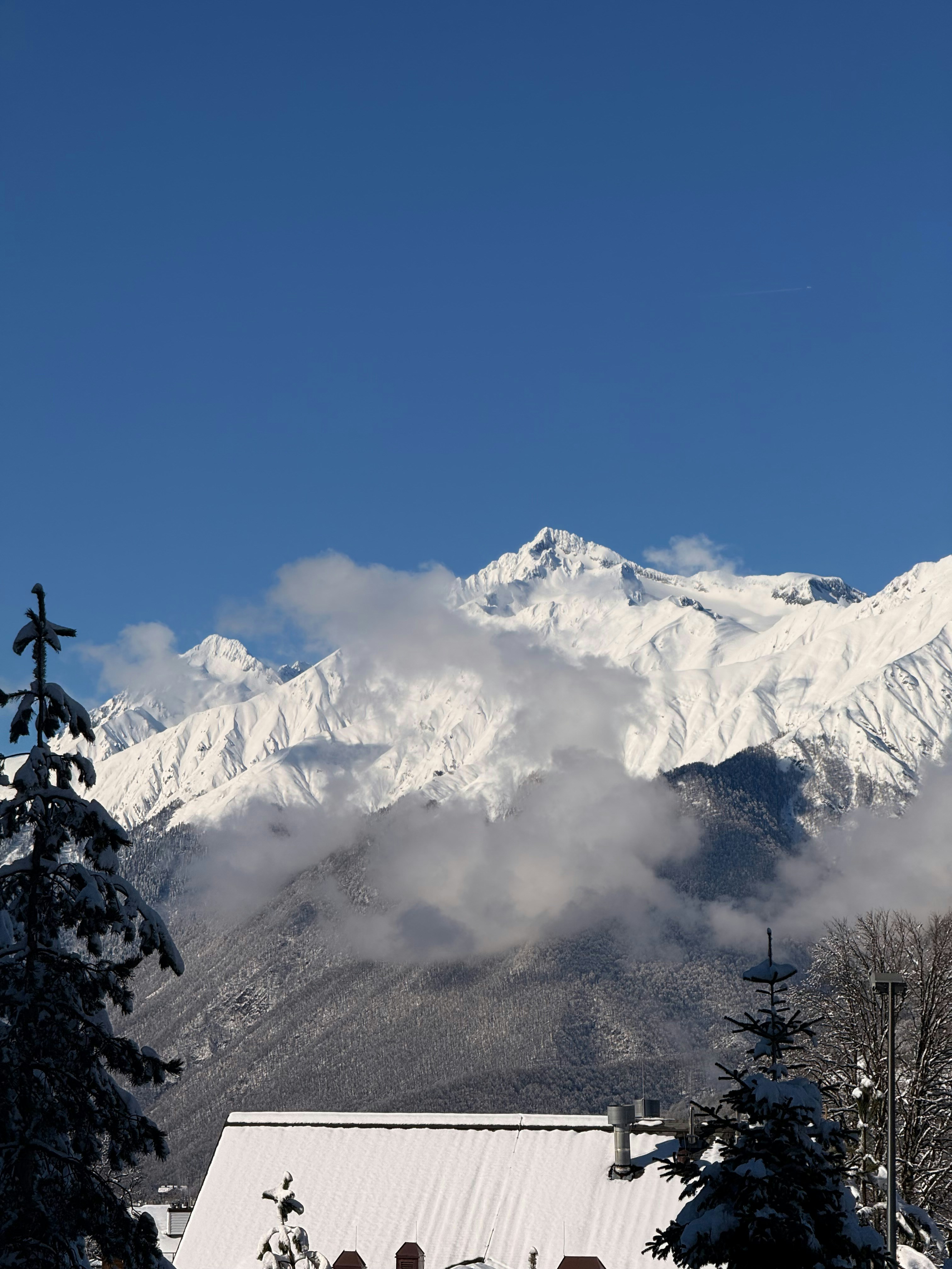 Photo by artemisss666