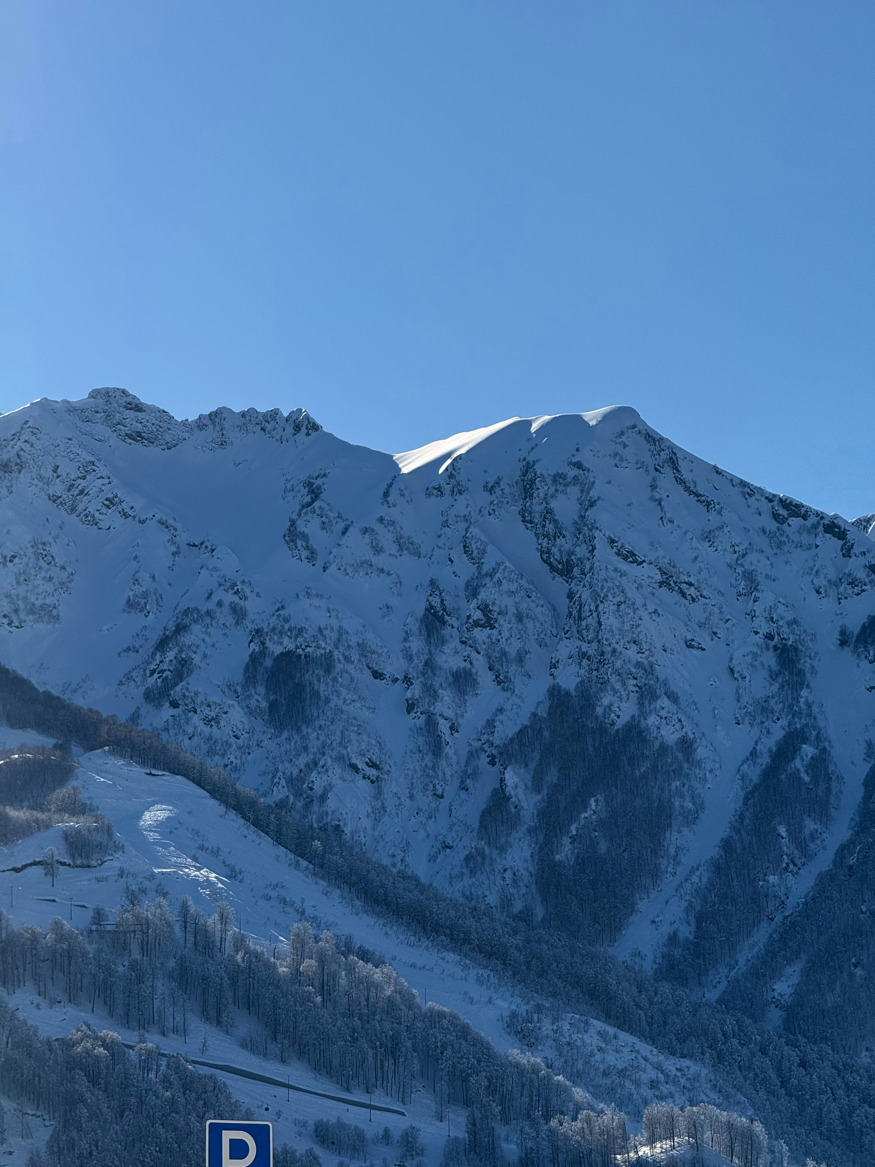 Photo by artemisss666