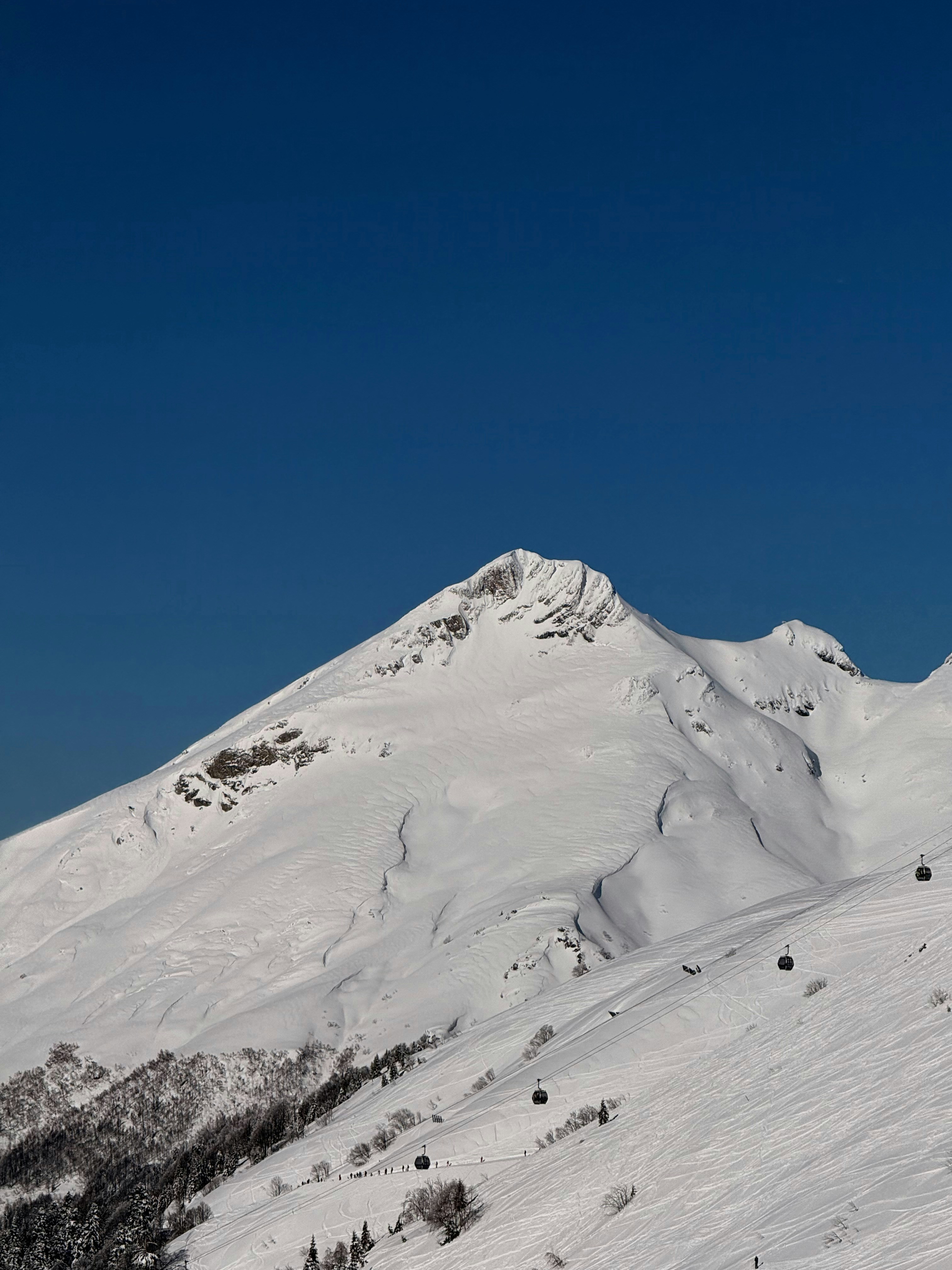 Photo by artemisss666