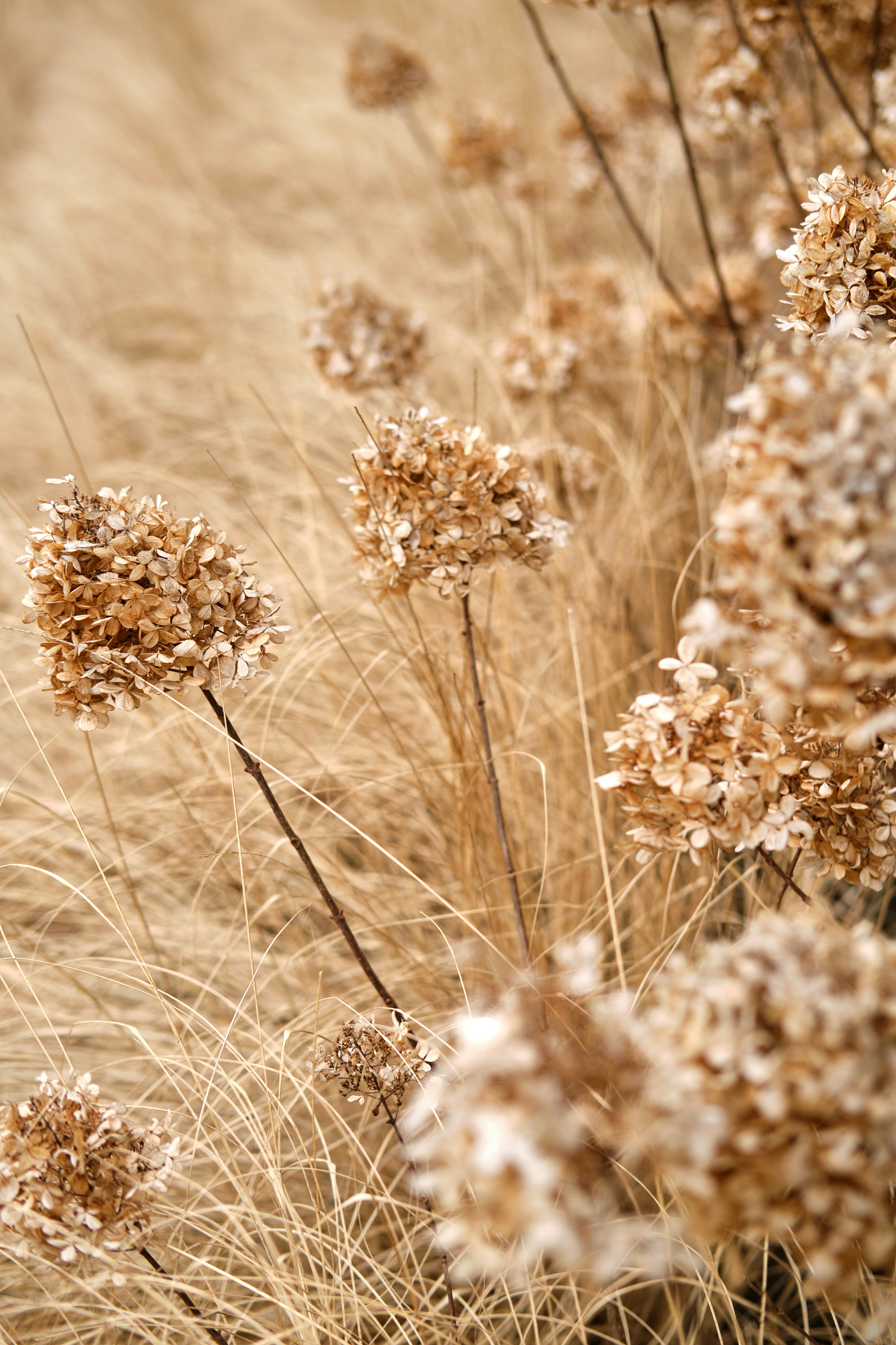 Photo by timschmidbauer