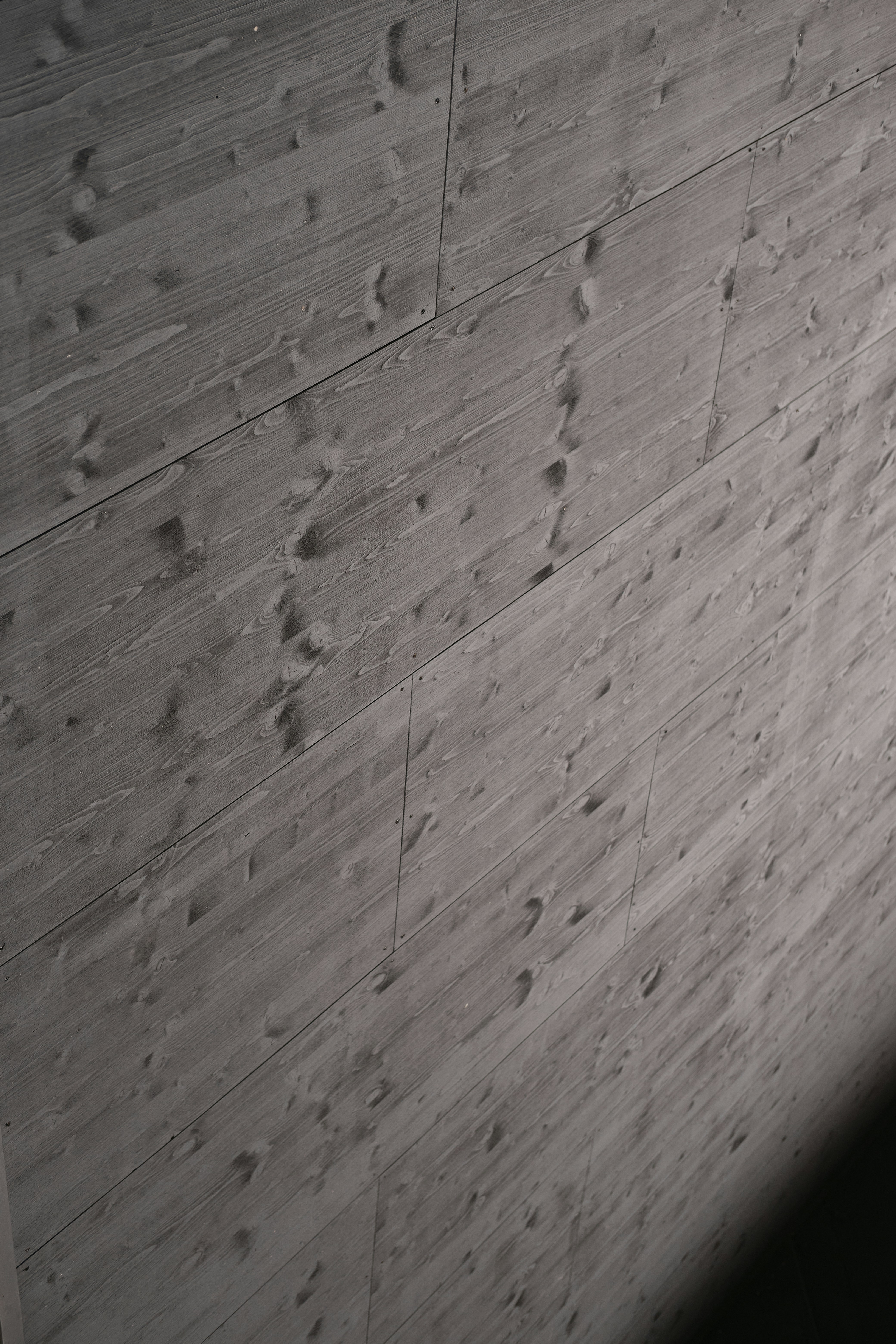 Photo by timschmidbauer