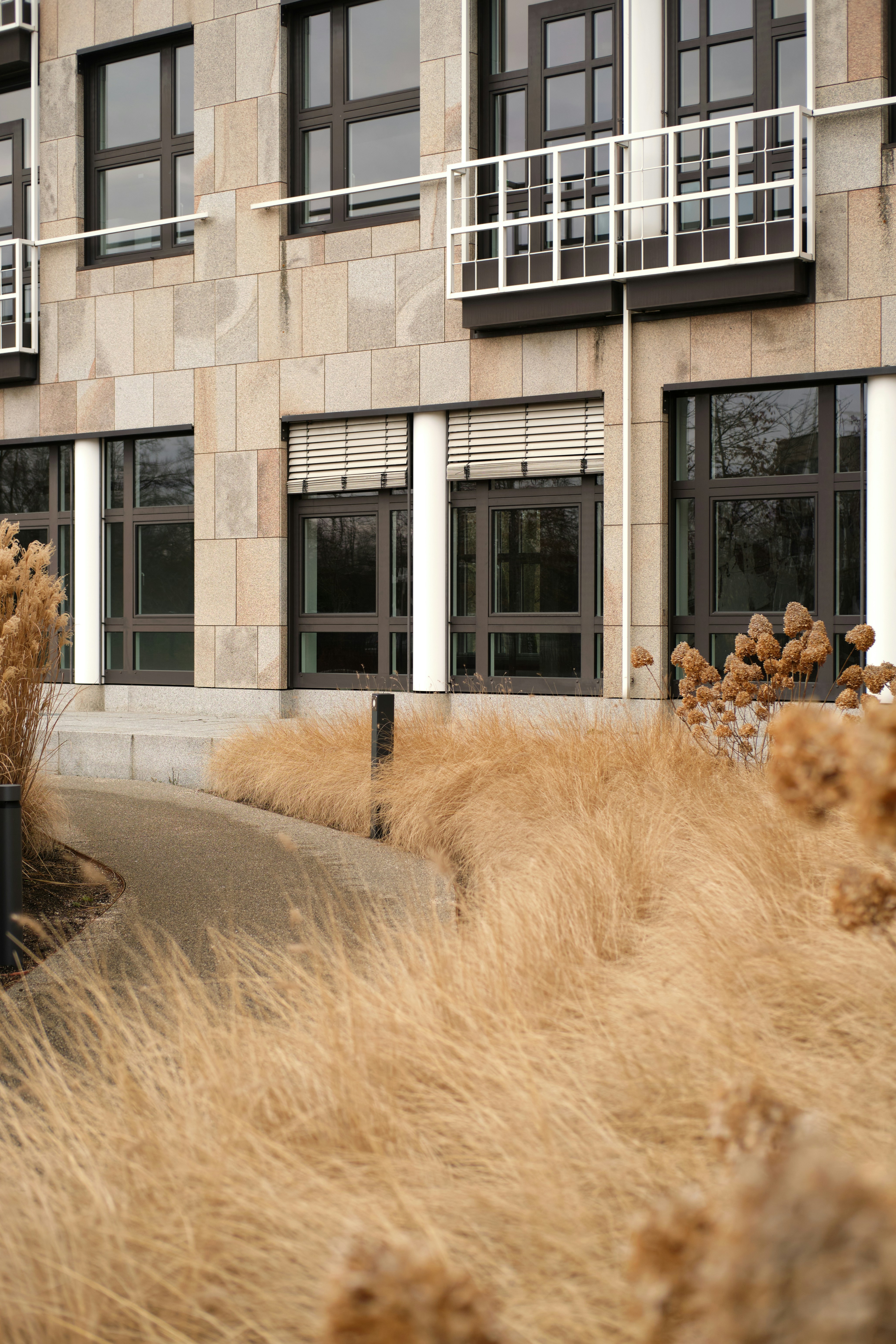 Modern building facade with dry grasses in foreground