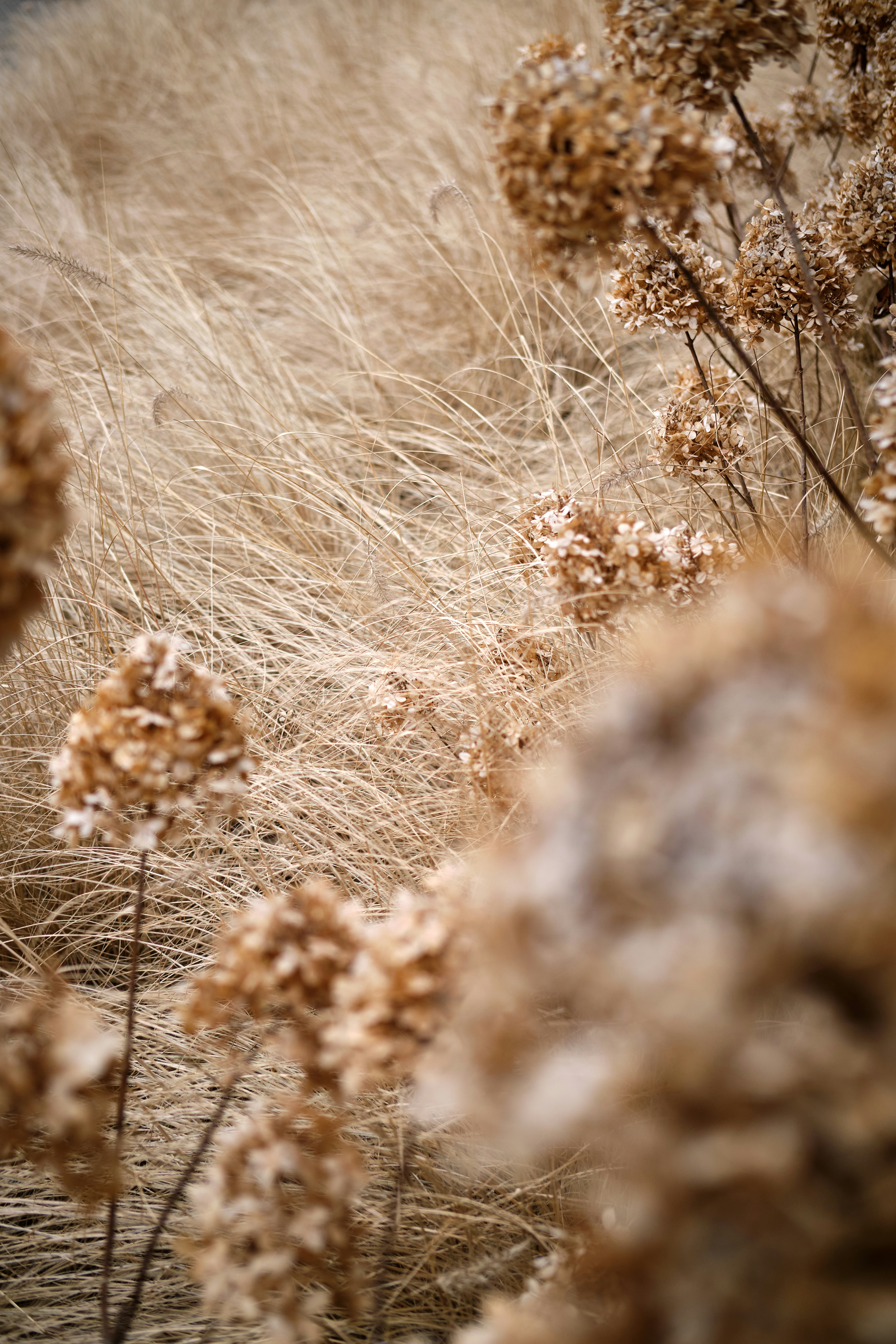 Photo by timschmidbauer