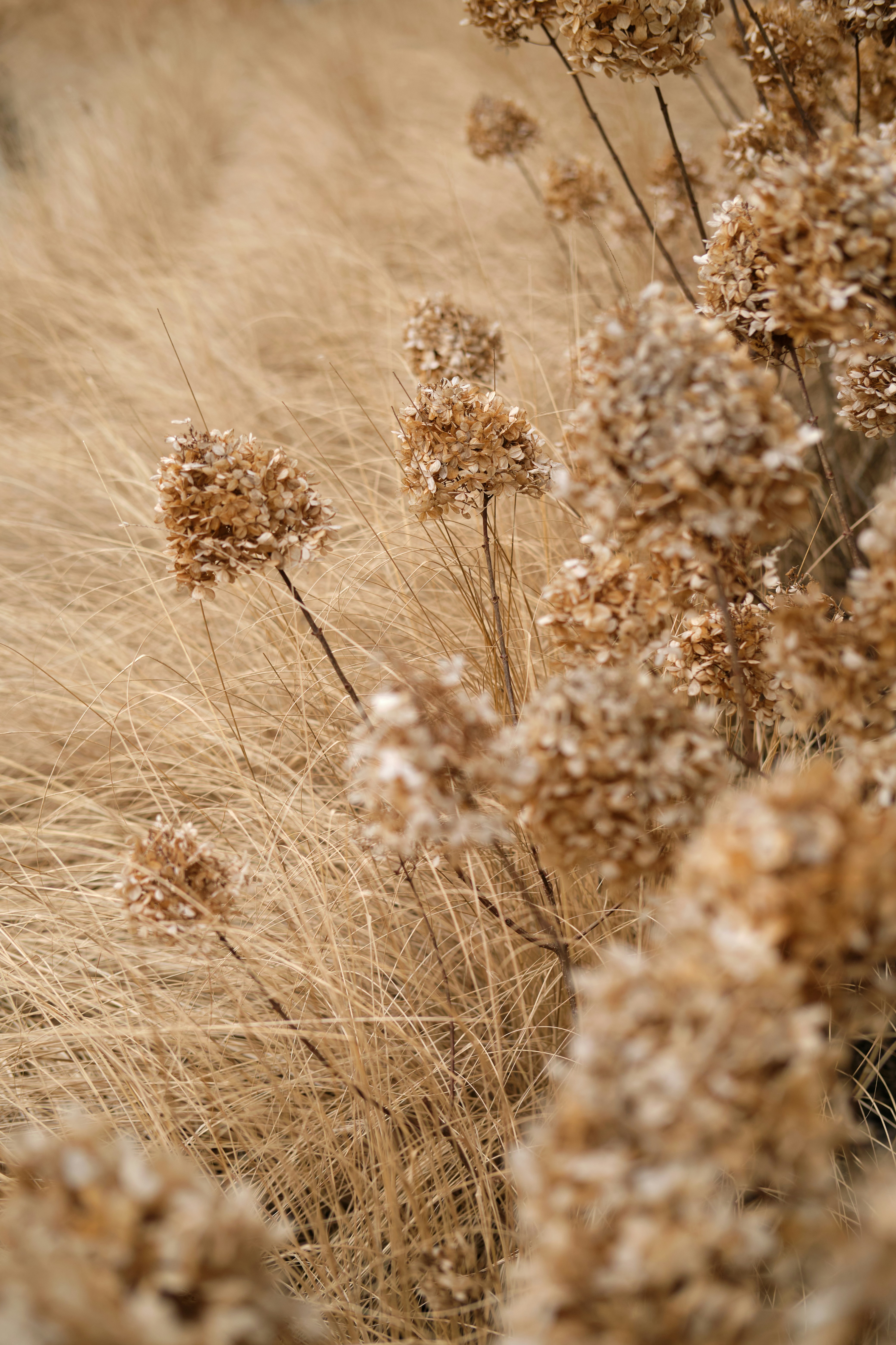 Photo by timschmidbauer