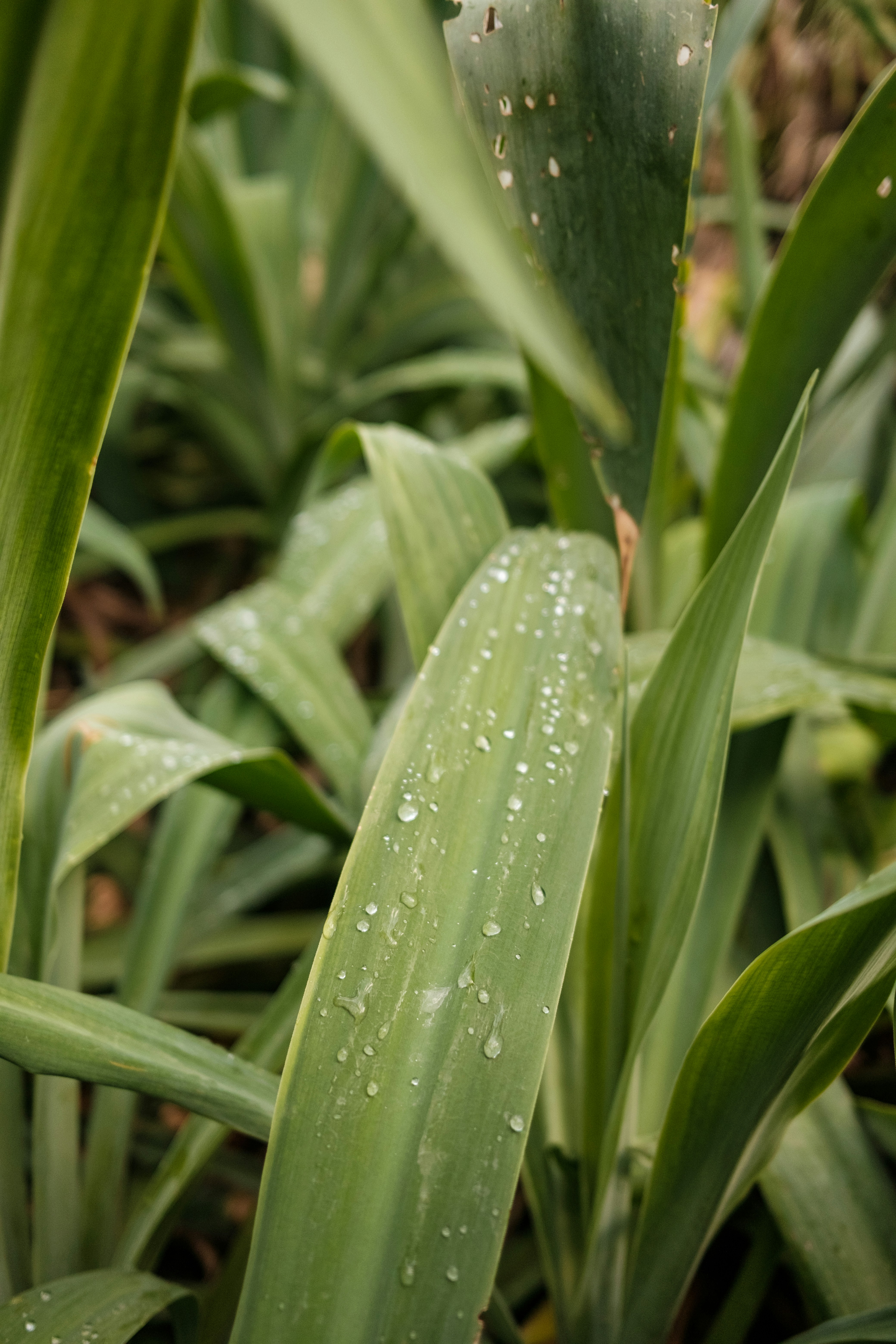 Photo by valentinlacoste