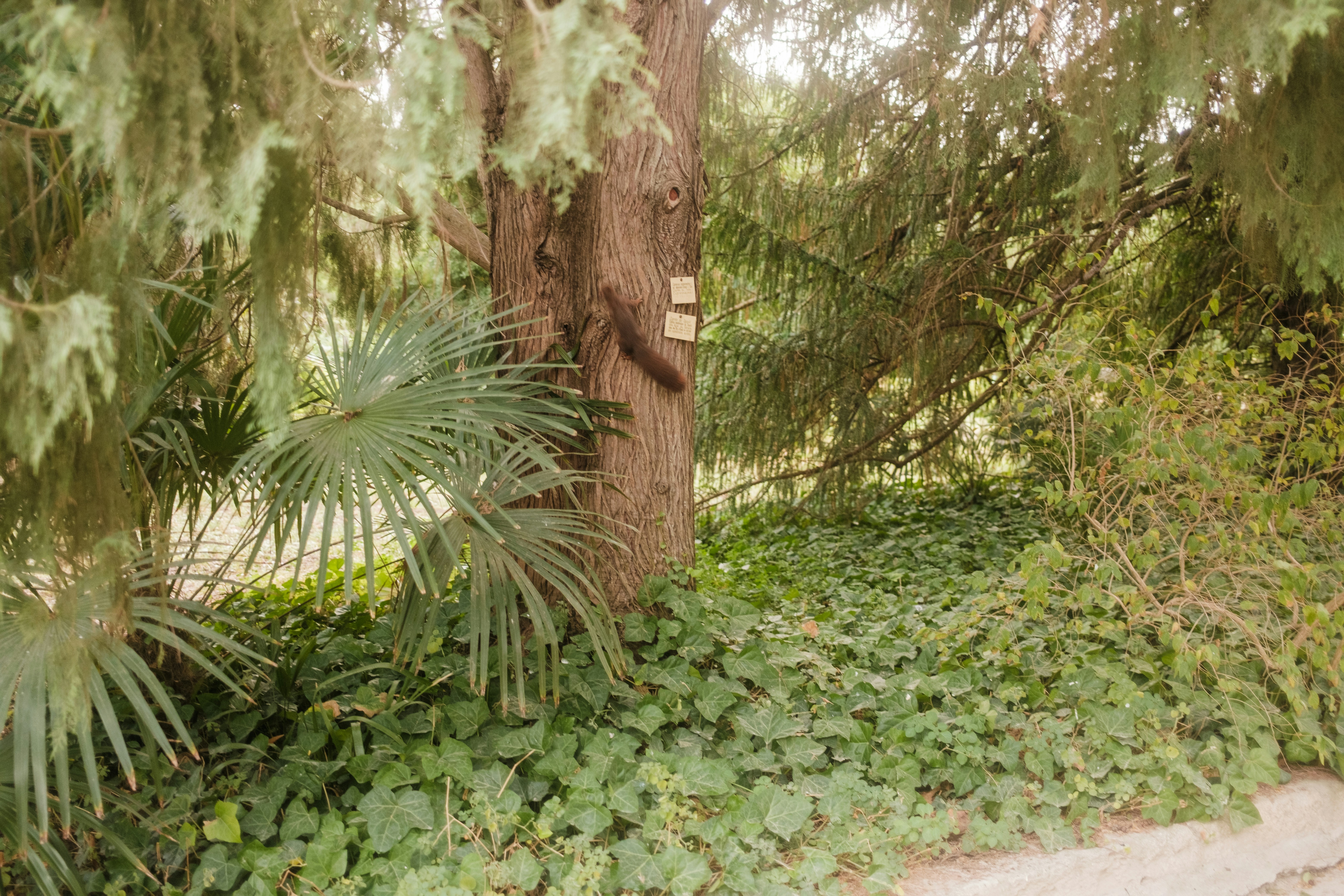 Photo by valentinlacoste