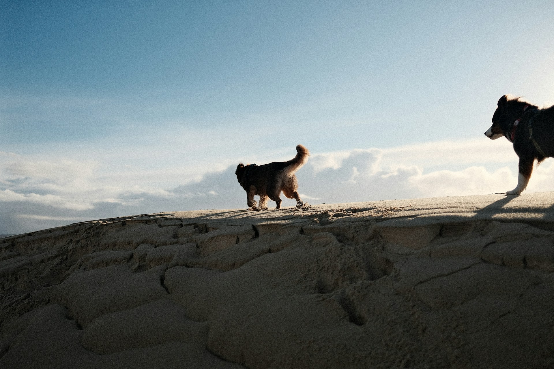 a person standing on a cliff overlooking the ocean