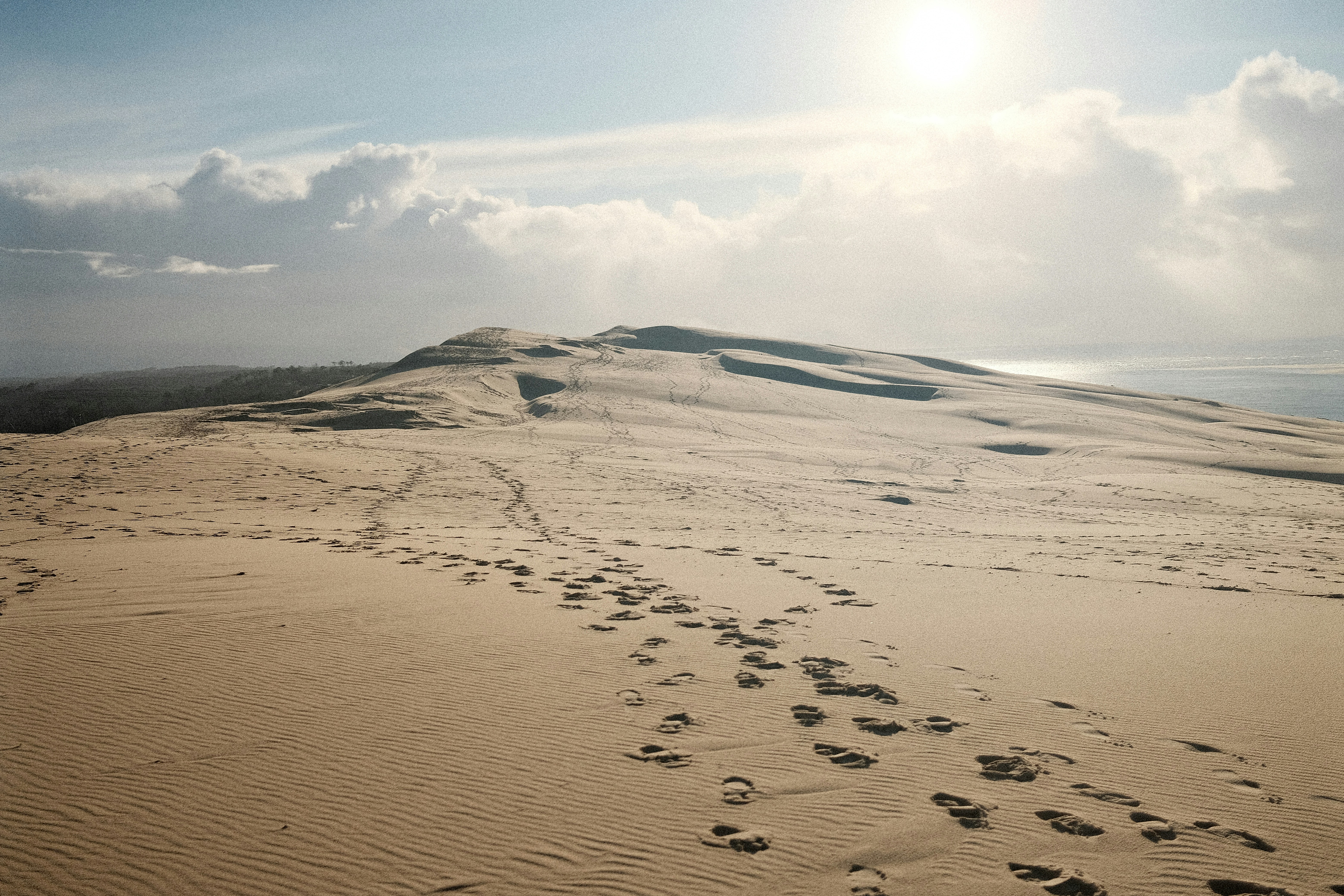 Footprints lead up a sand dune towards the sun.