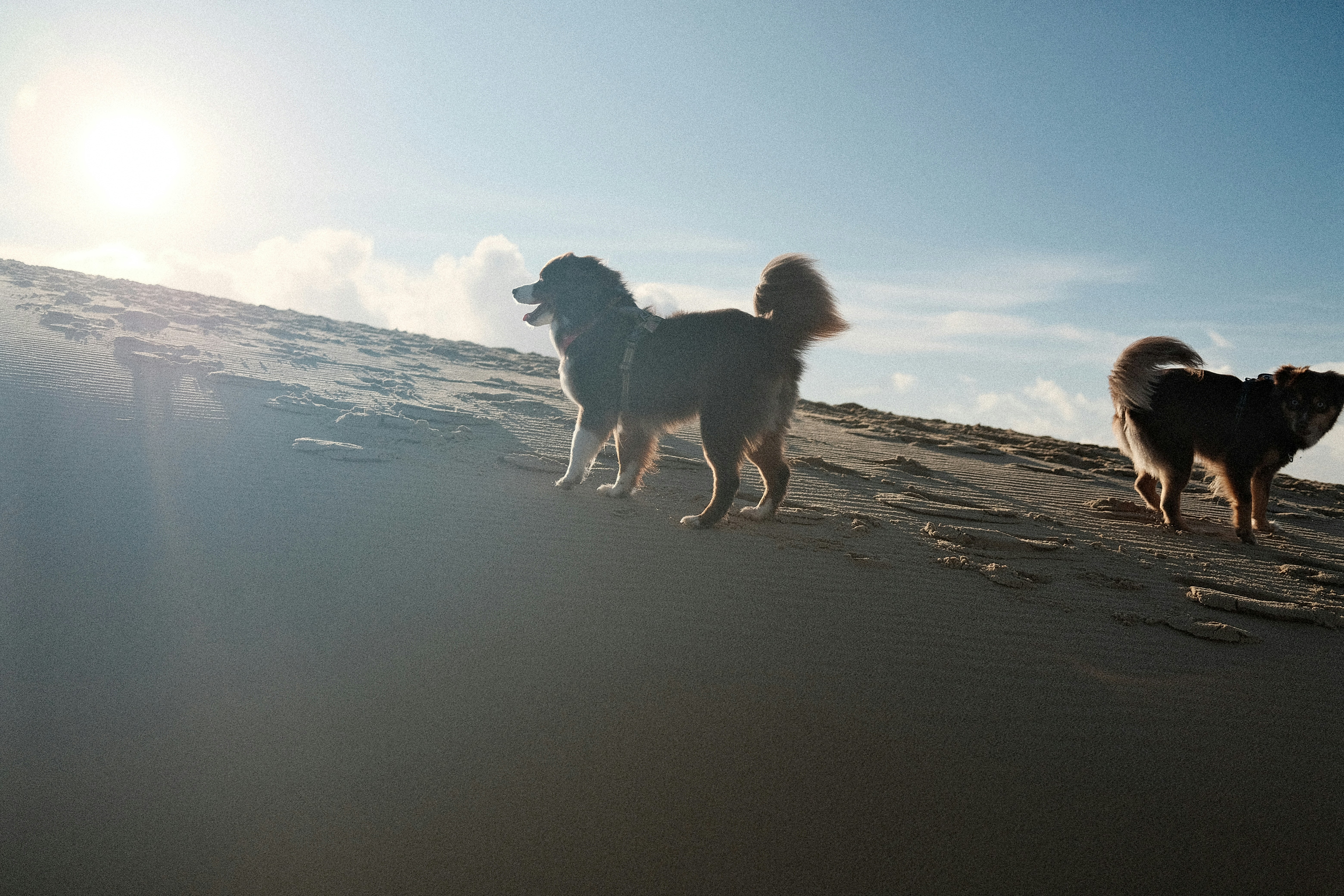 Photo by valentinlacoste