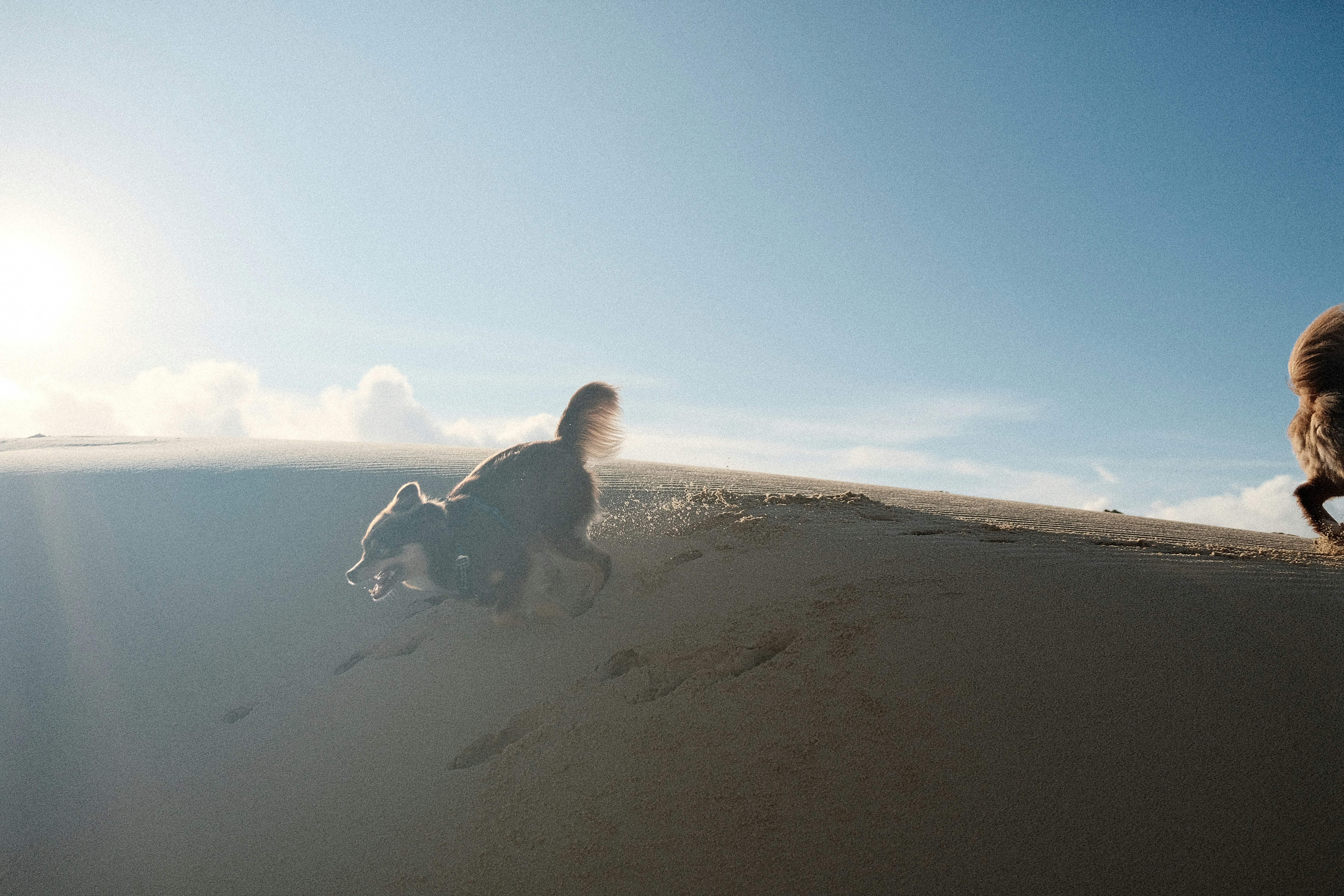 Photo by valentinlacoste