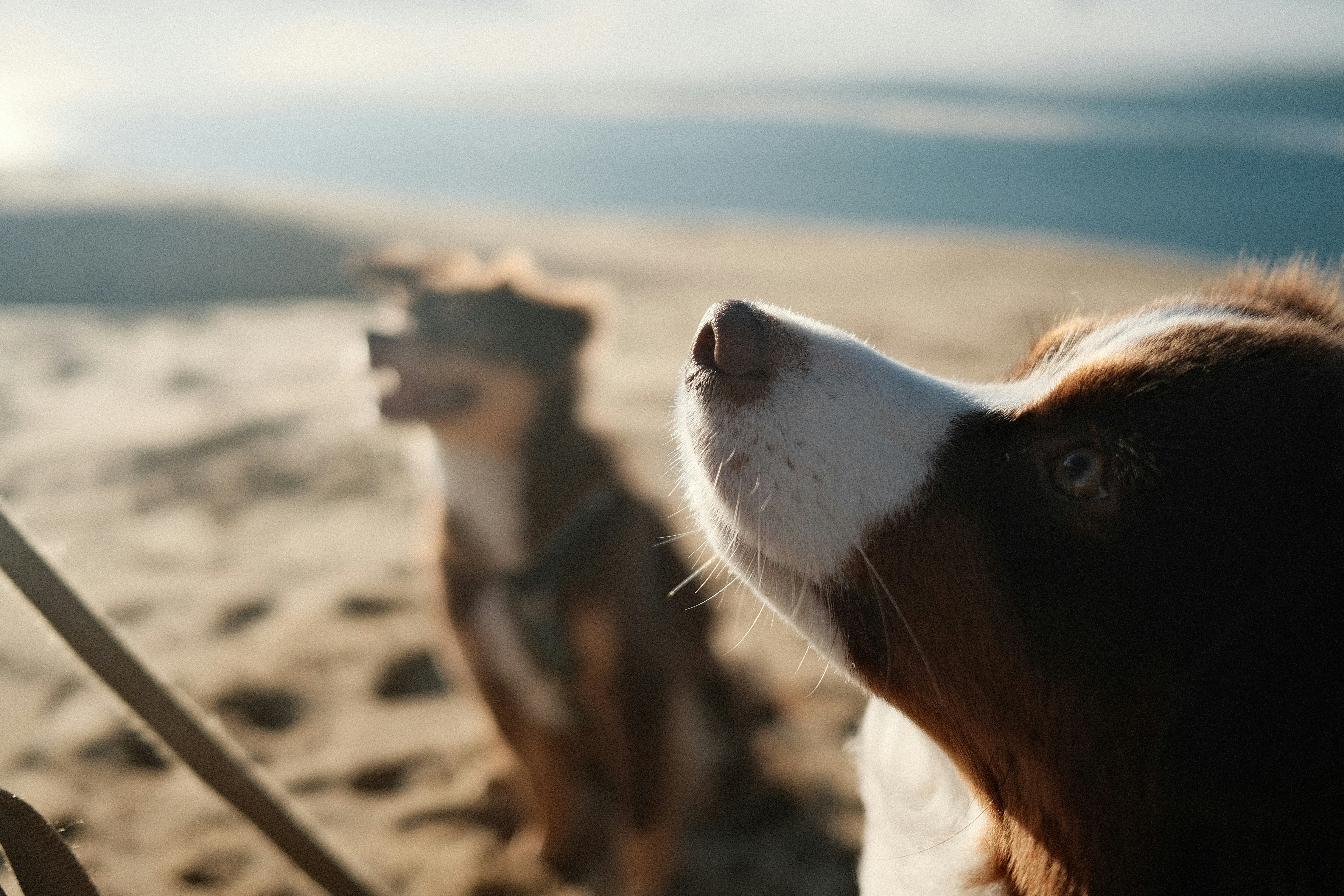 Photo by valentinlacoste