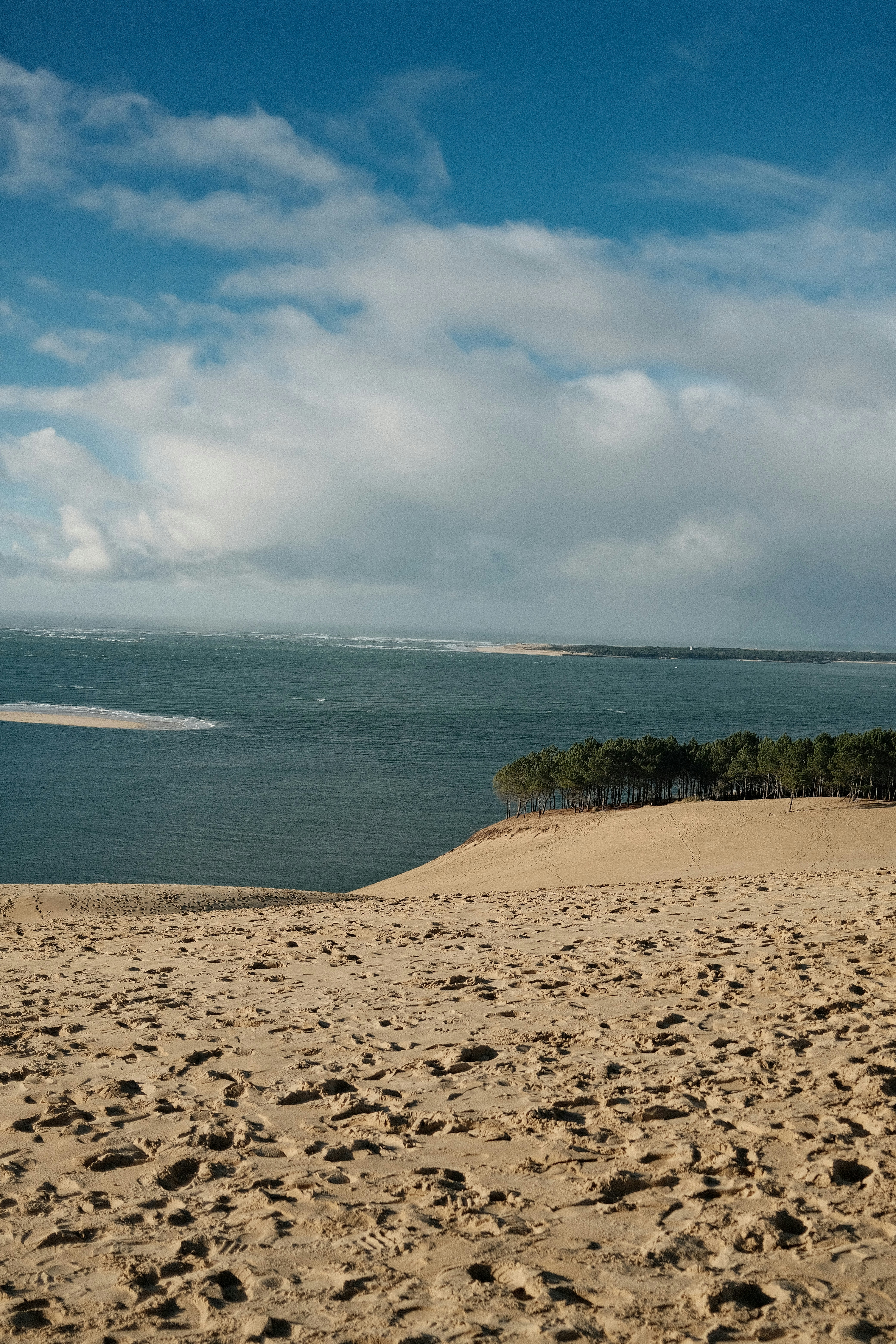 Sandy dune overlooking a calm sea and distant trees