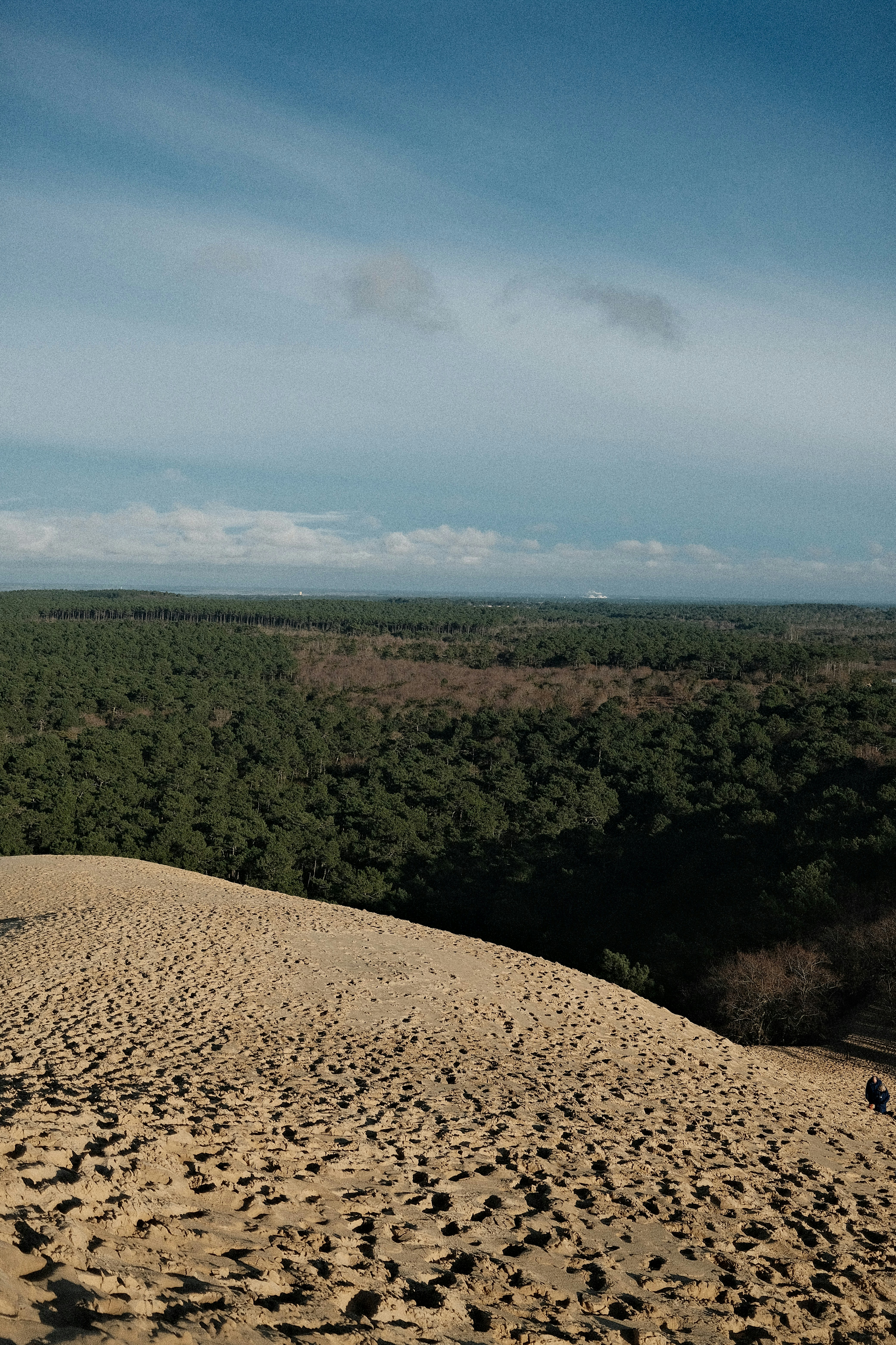 Sandy dune overlooking a dense forest under a cloudy sky