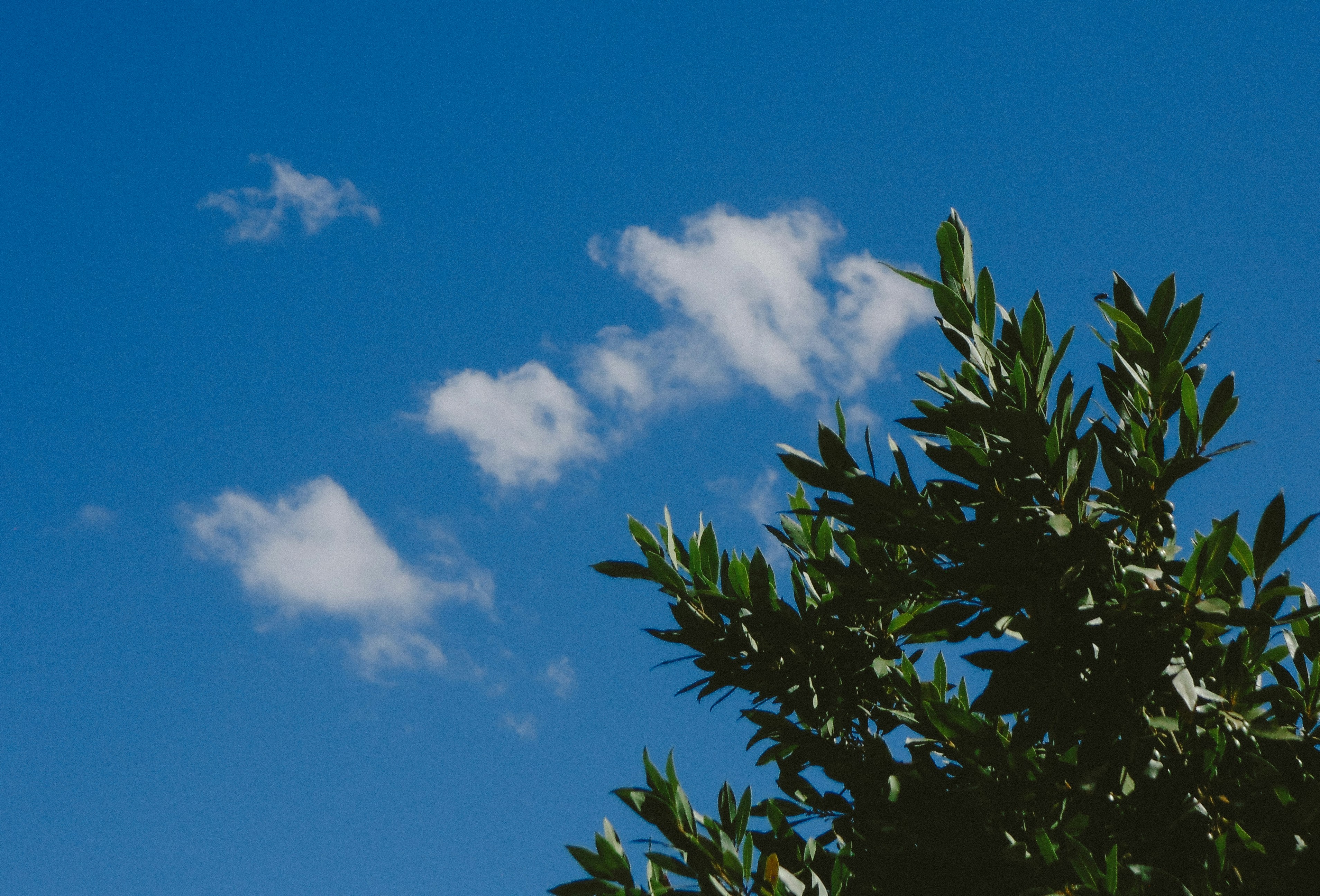 Photo by by_iamvndres