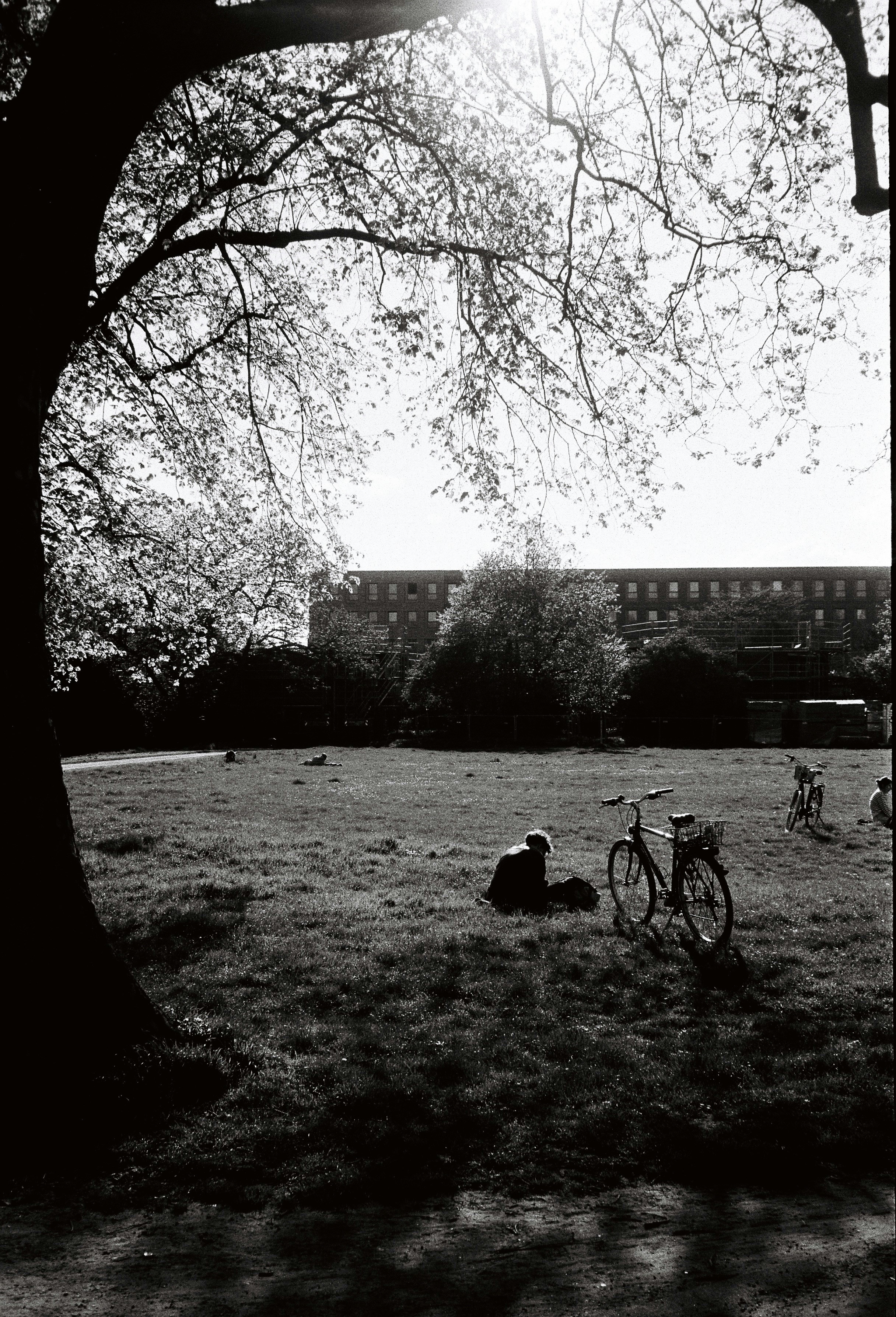 A person and bicycle in a park under a tree