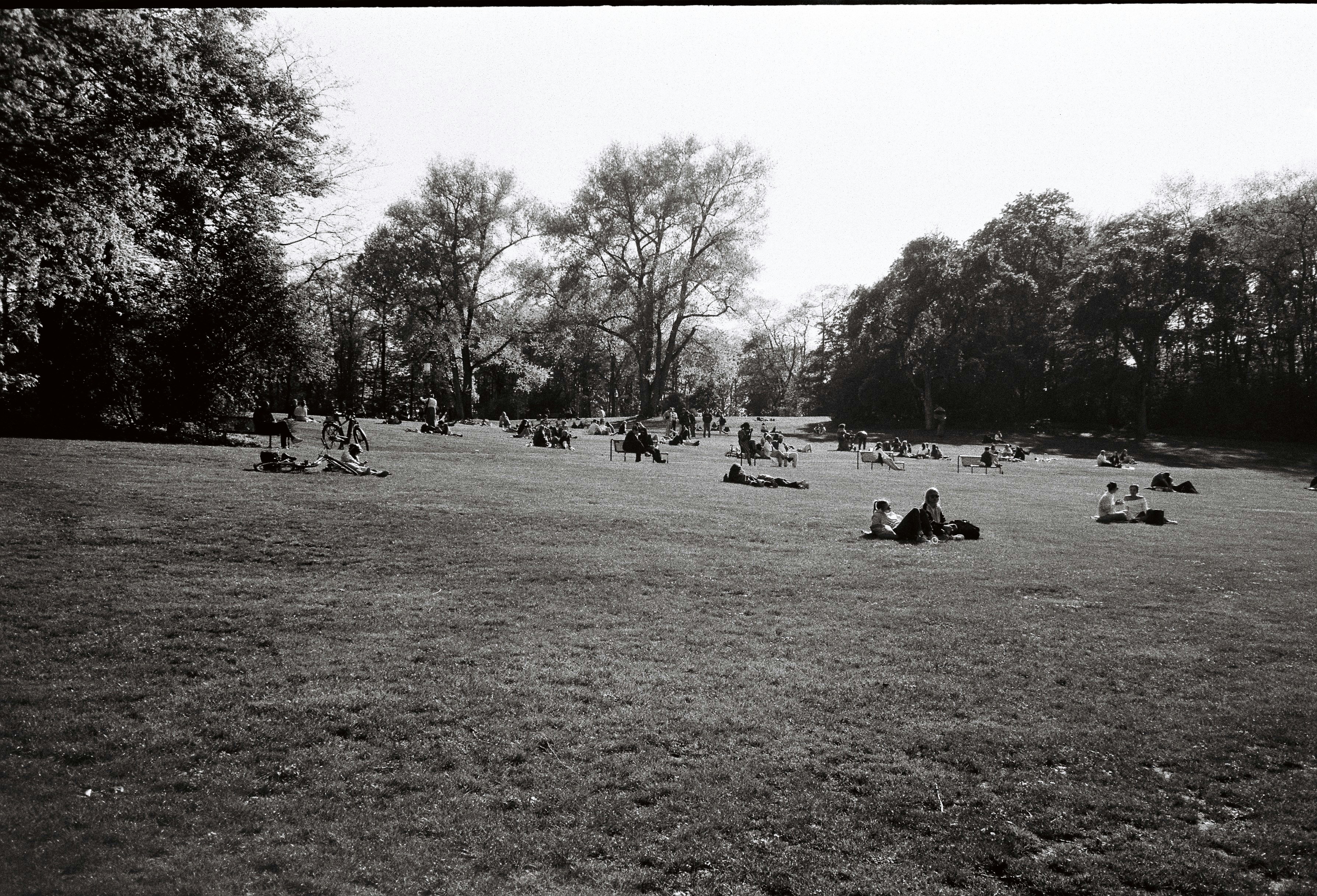 People relaxing on a grassy park lawn under trees.