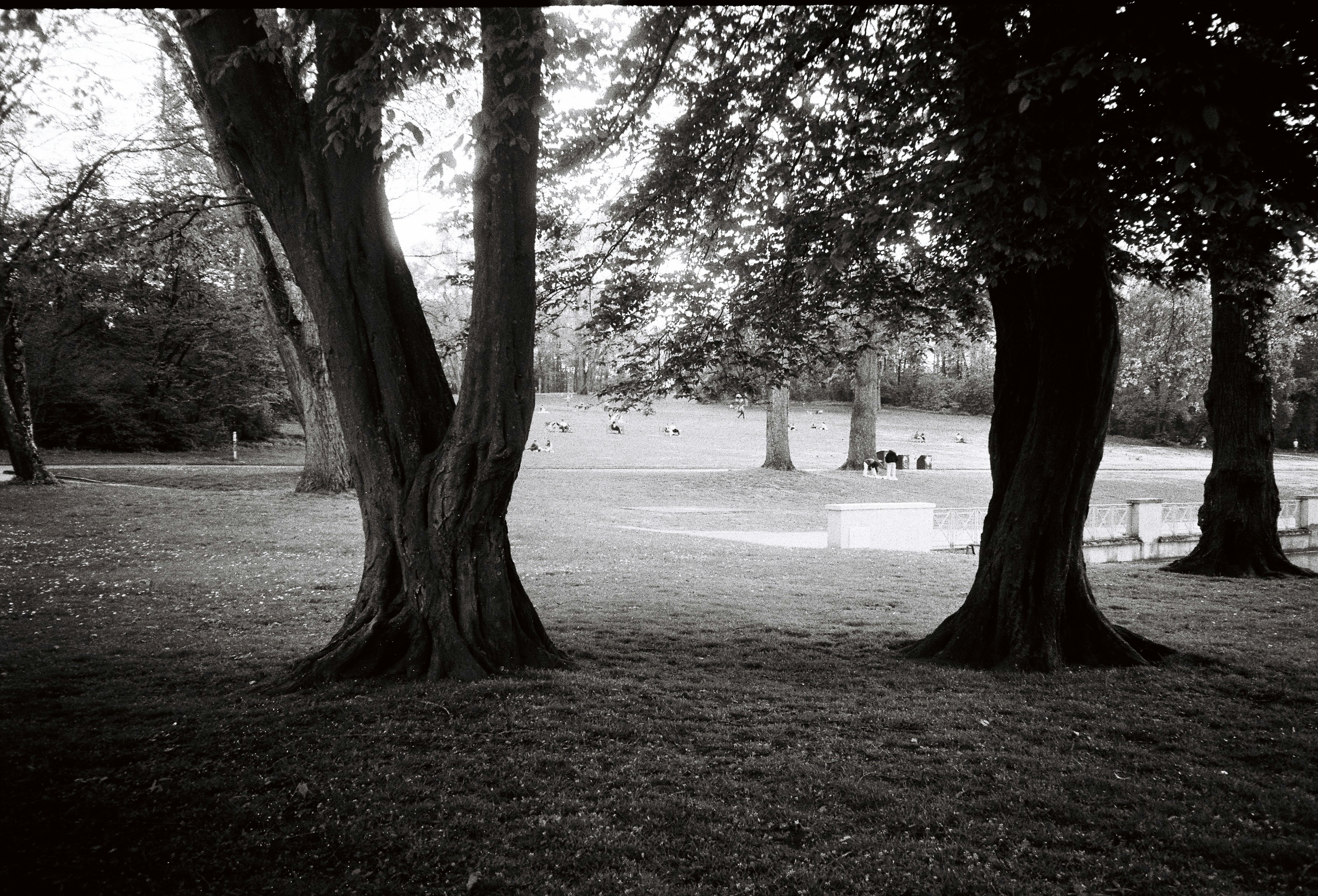 Photo by _kseniademenko