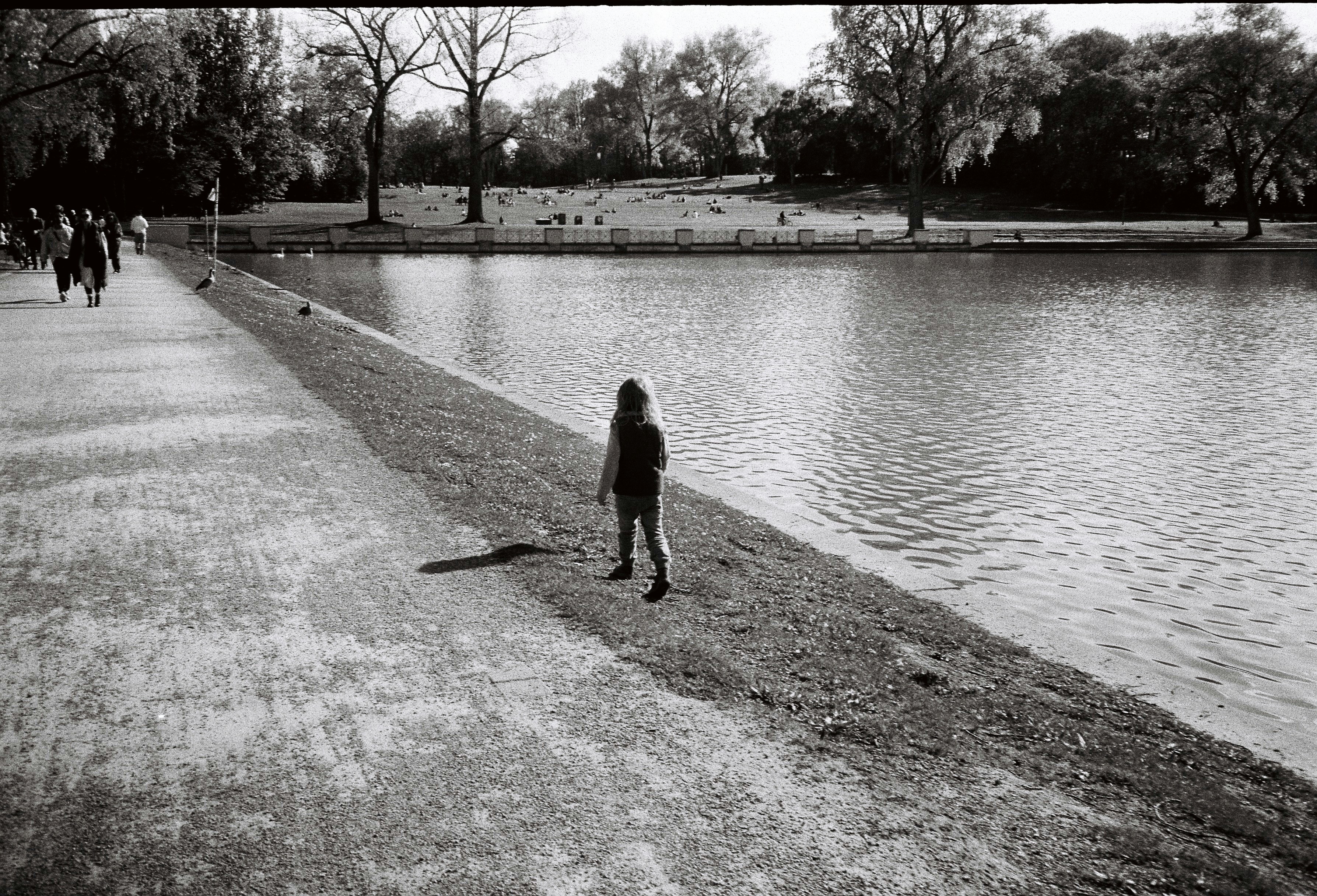 A person stands by a calm lake in a park.