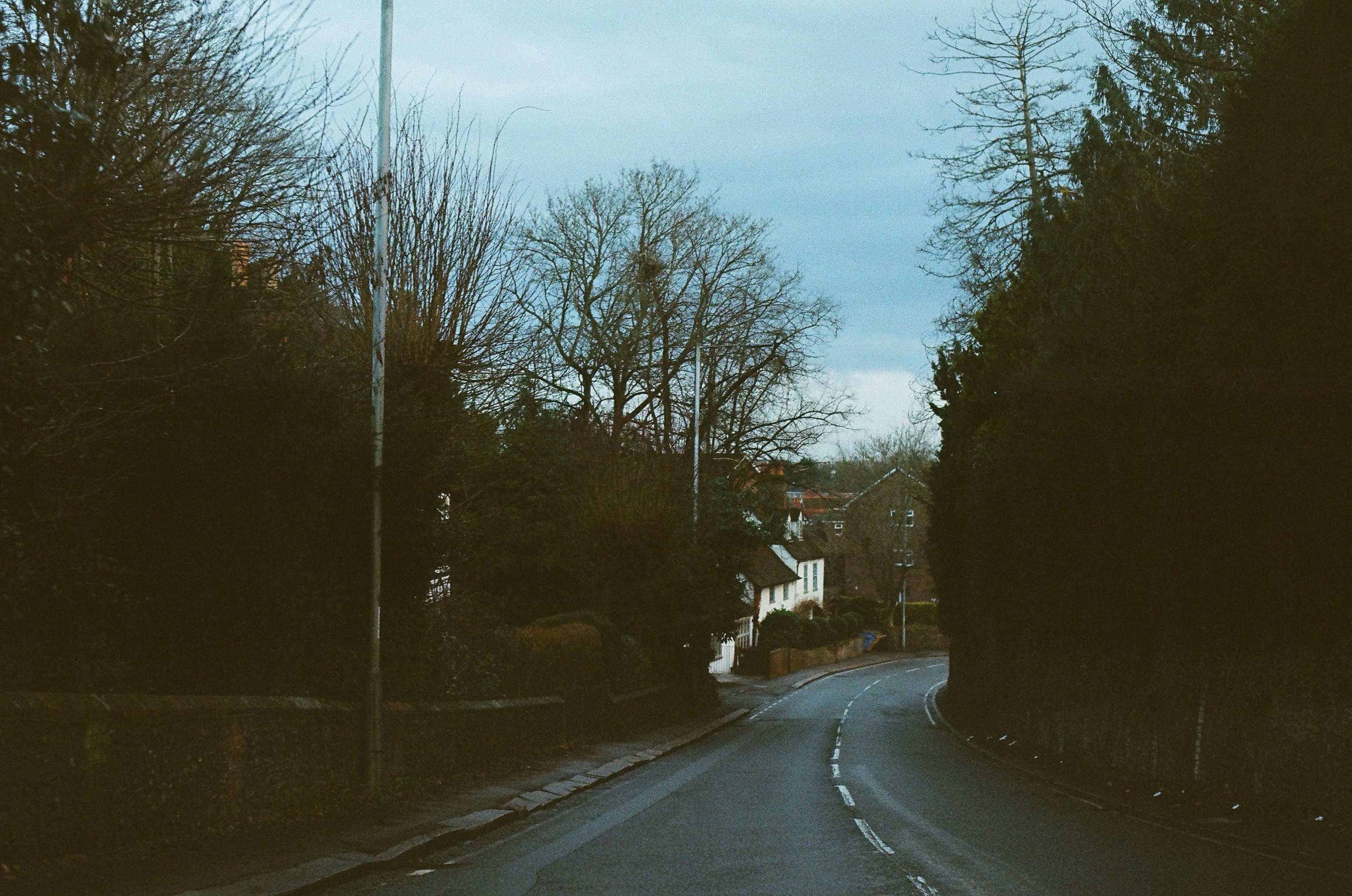 Photo by tanyabarrow