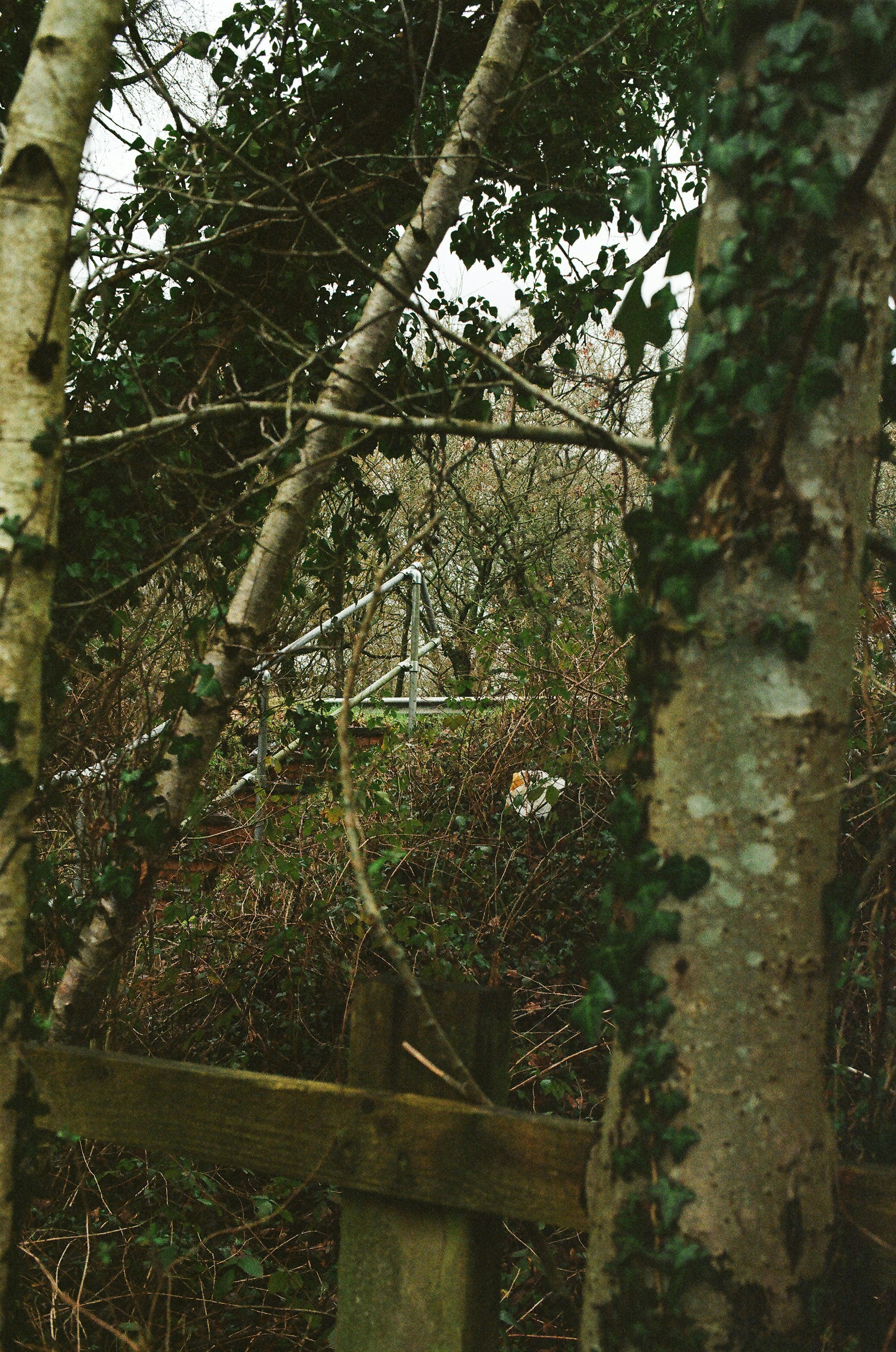 Photo by tanyabarrow