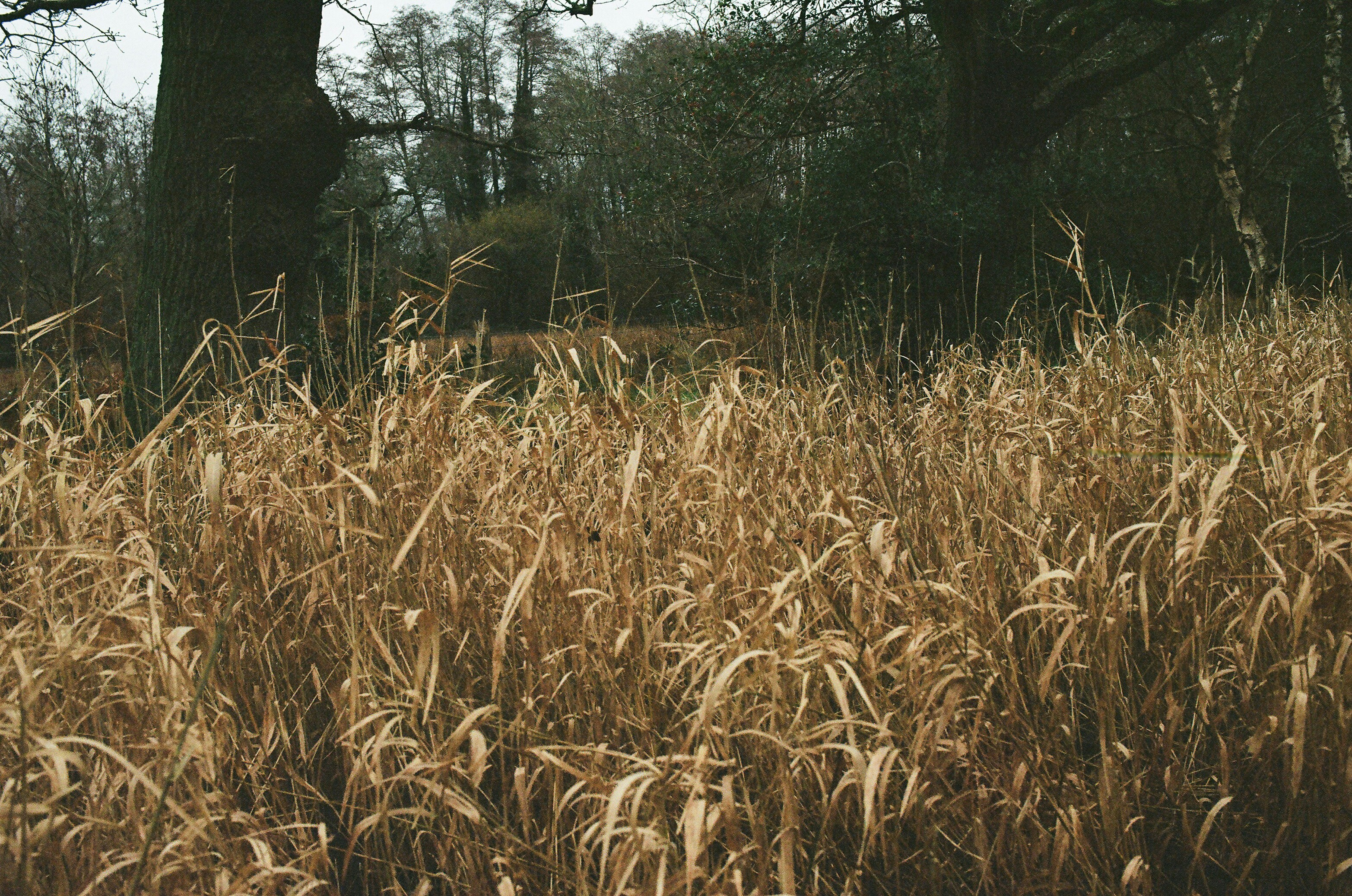 Photo by tanyabarrow