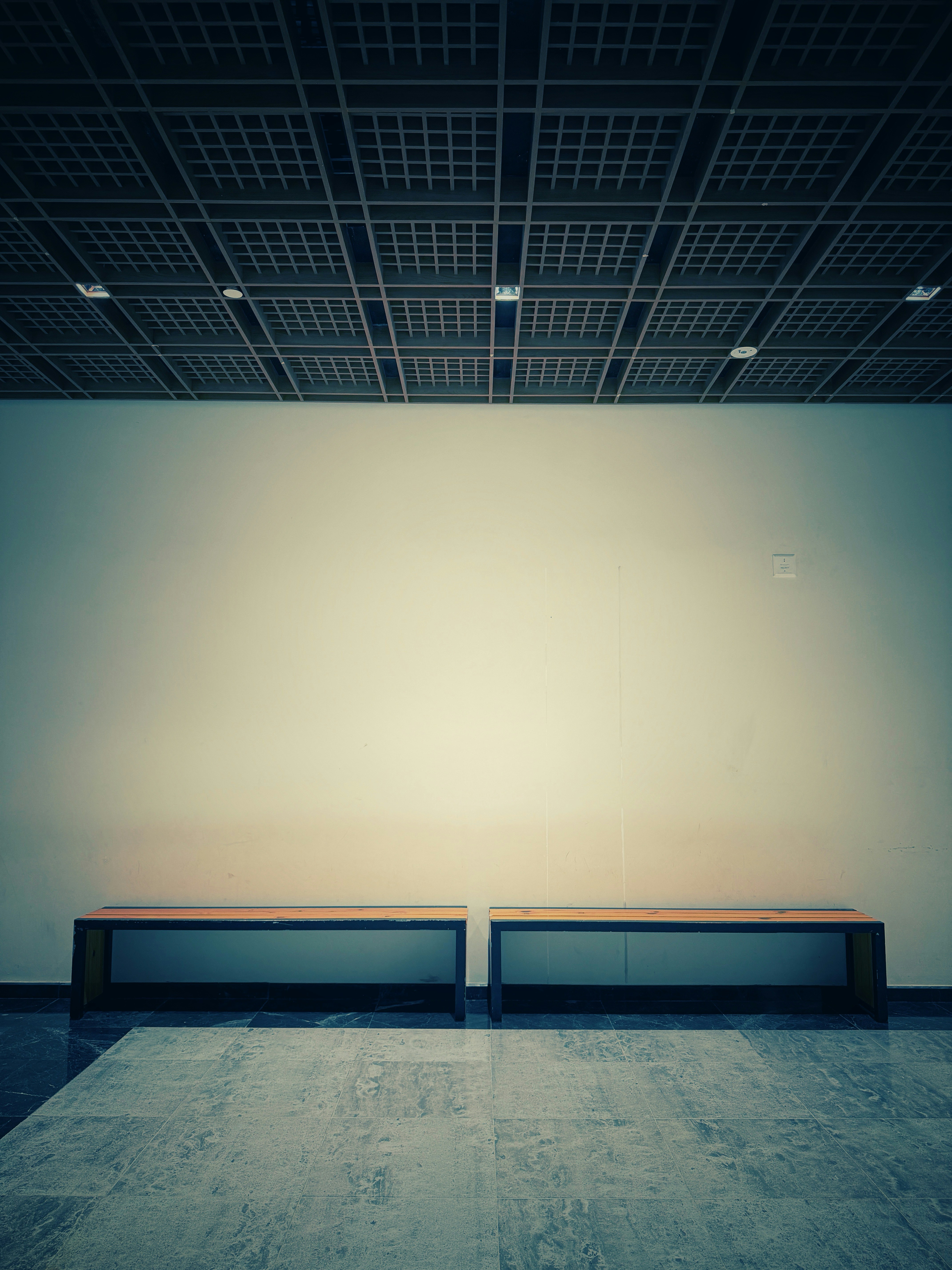 白壁と照明が調和したモダンな展示スペース。ピクチャーレールとスポットライトを完備