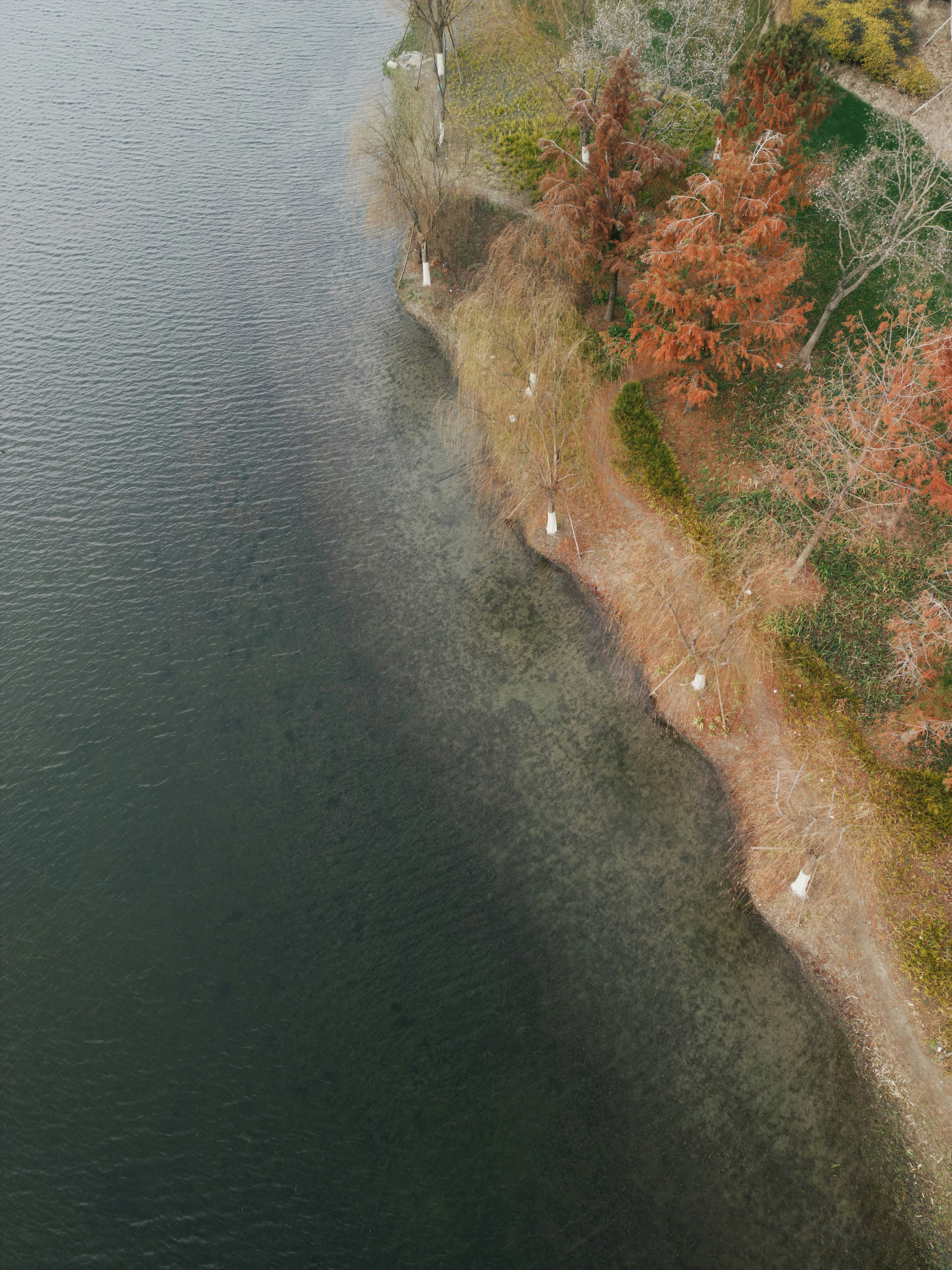 Photo by pandabeyond