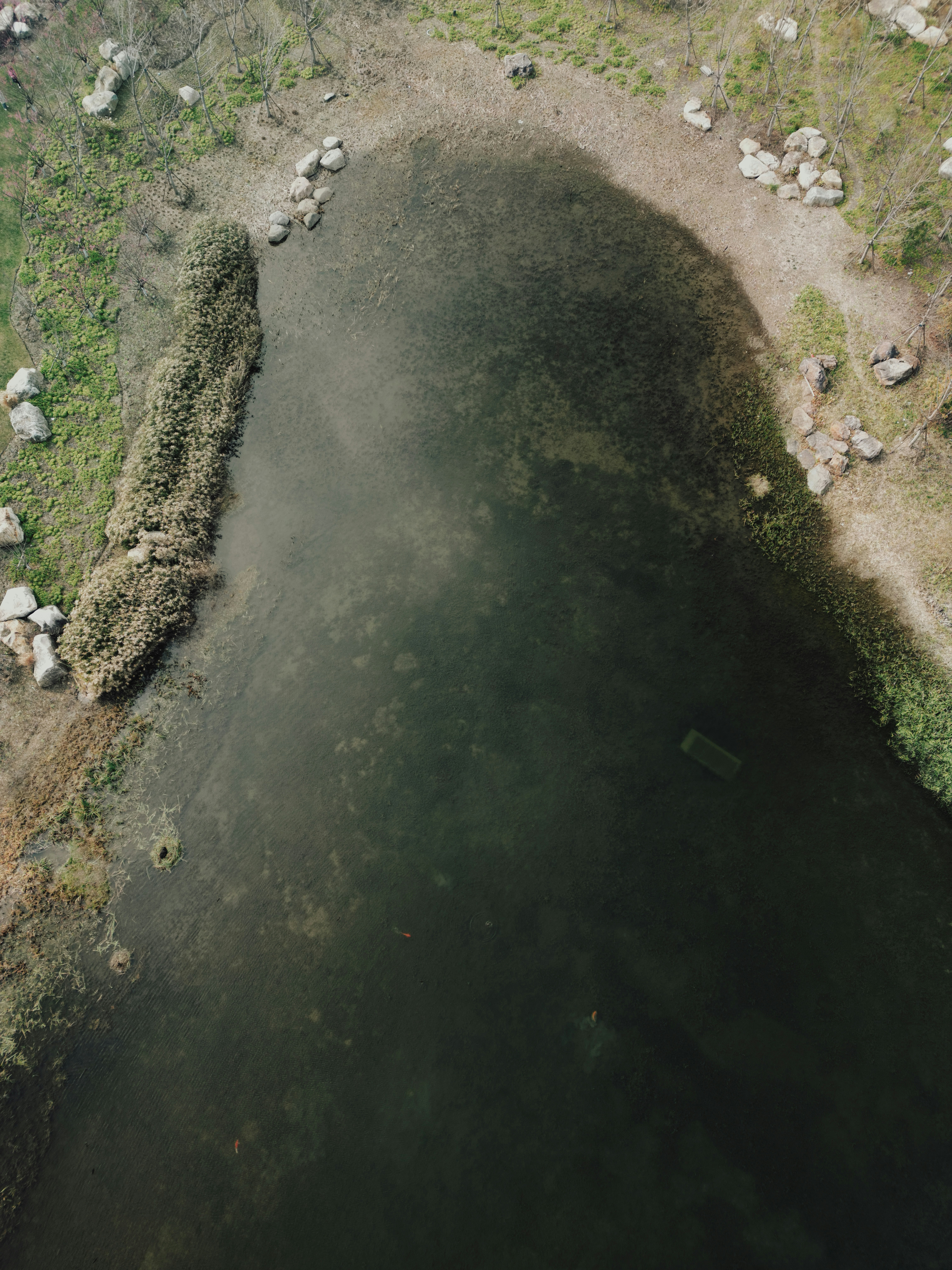 Photo by pandabeyond