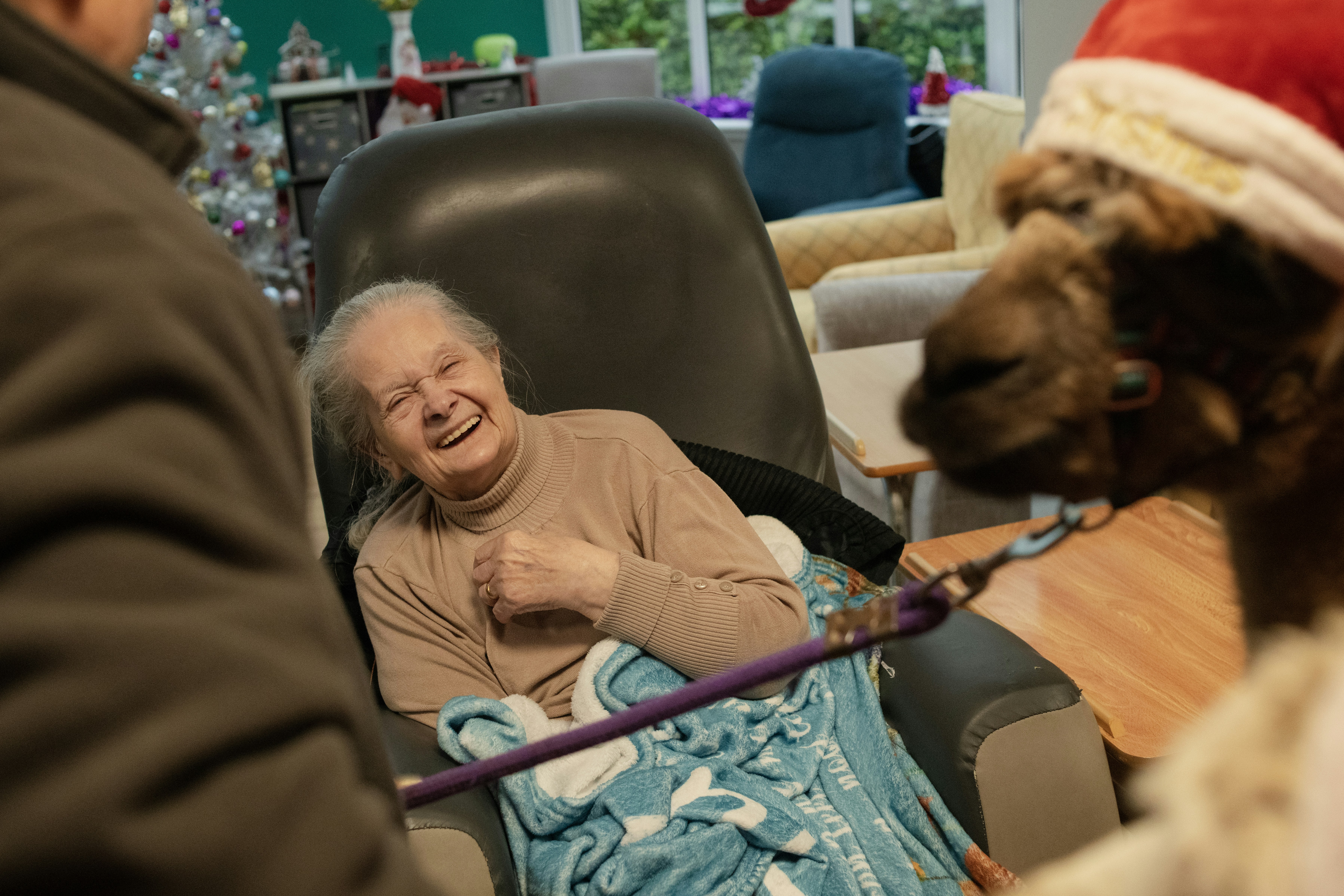 Elderly woman laughs at a camel wearing a santa hat