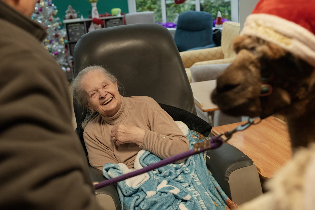 A laughing older woman in a recliner during a holiday therapy animal visit in a bright care home common room