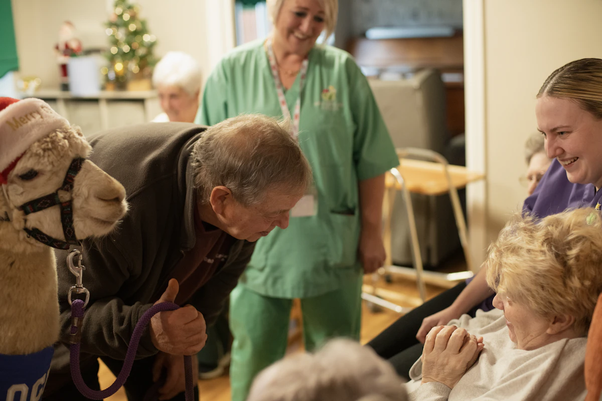 Older adults and caregivers sharing a positive activity together