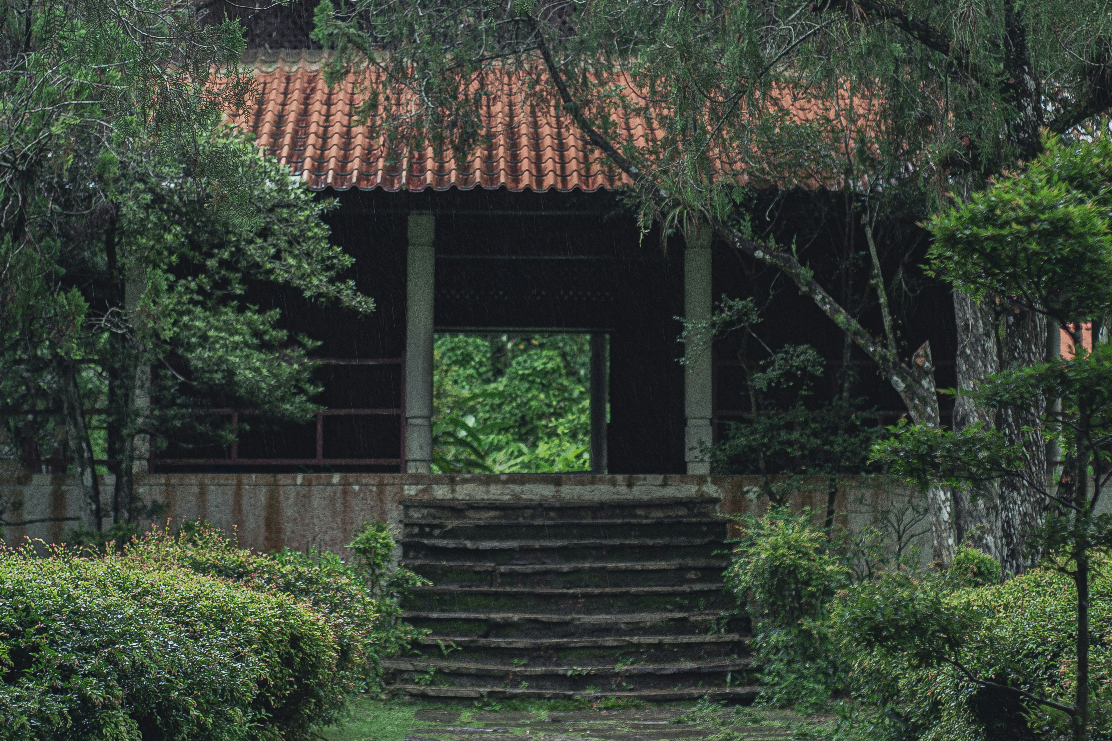 Photo by agustin_pimentel