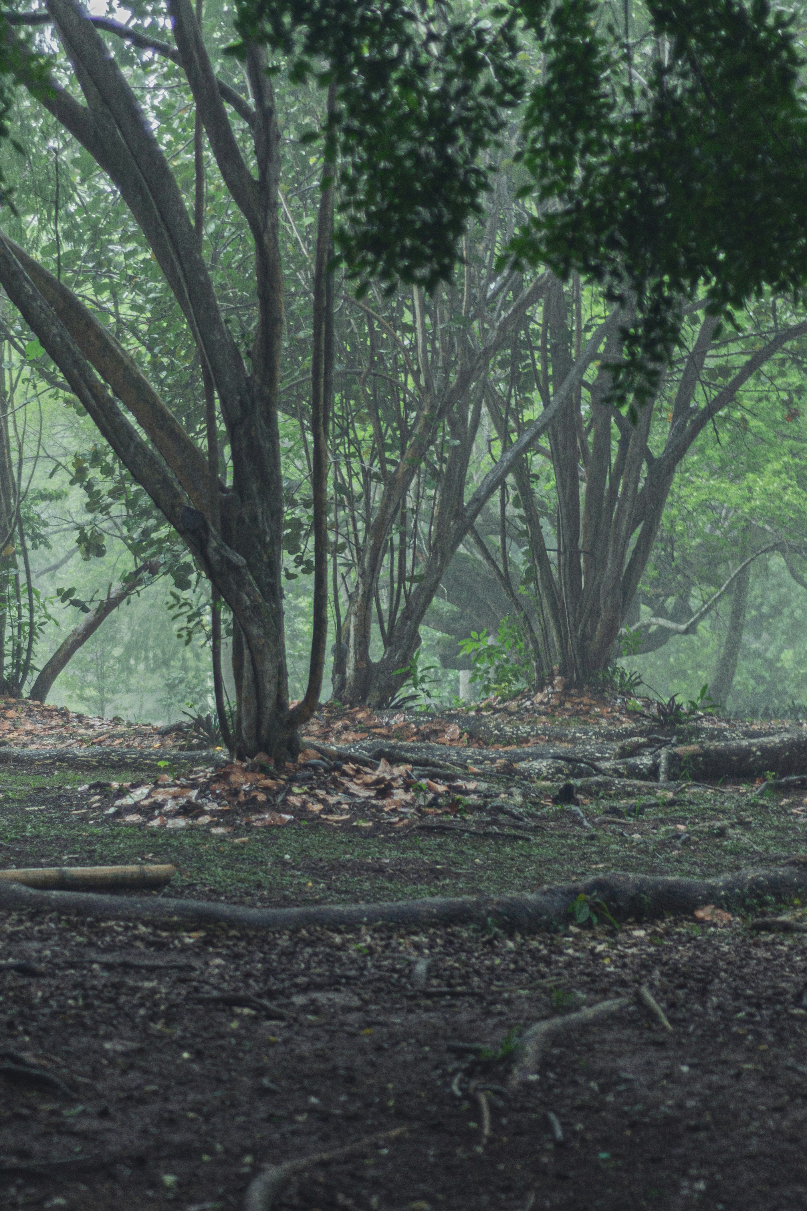 Photo by agustin_pimentel