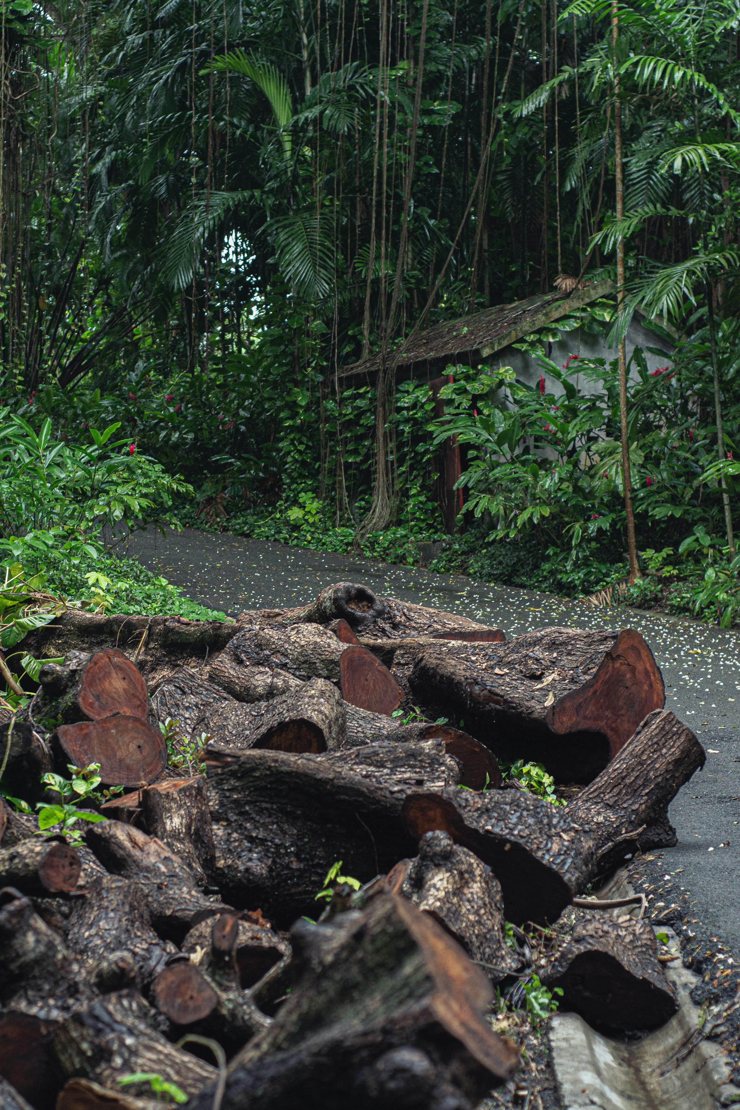 Photo by agustin_pimentel