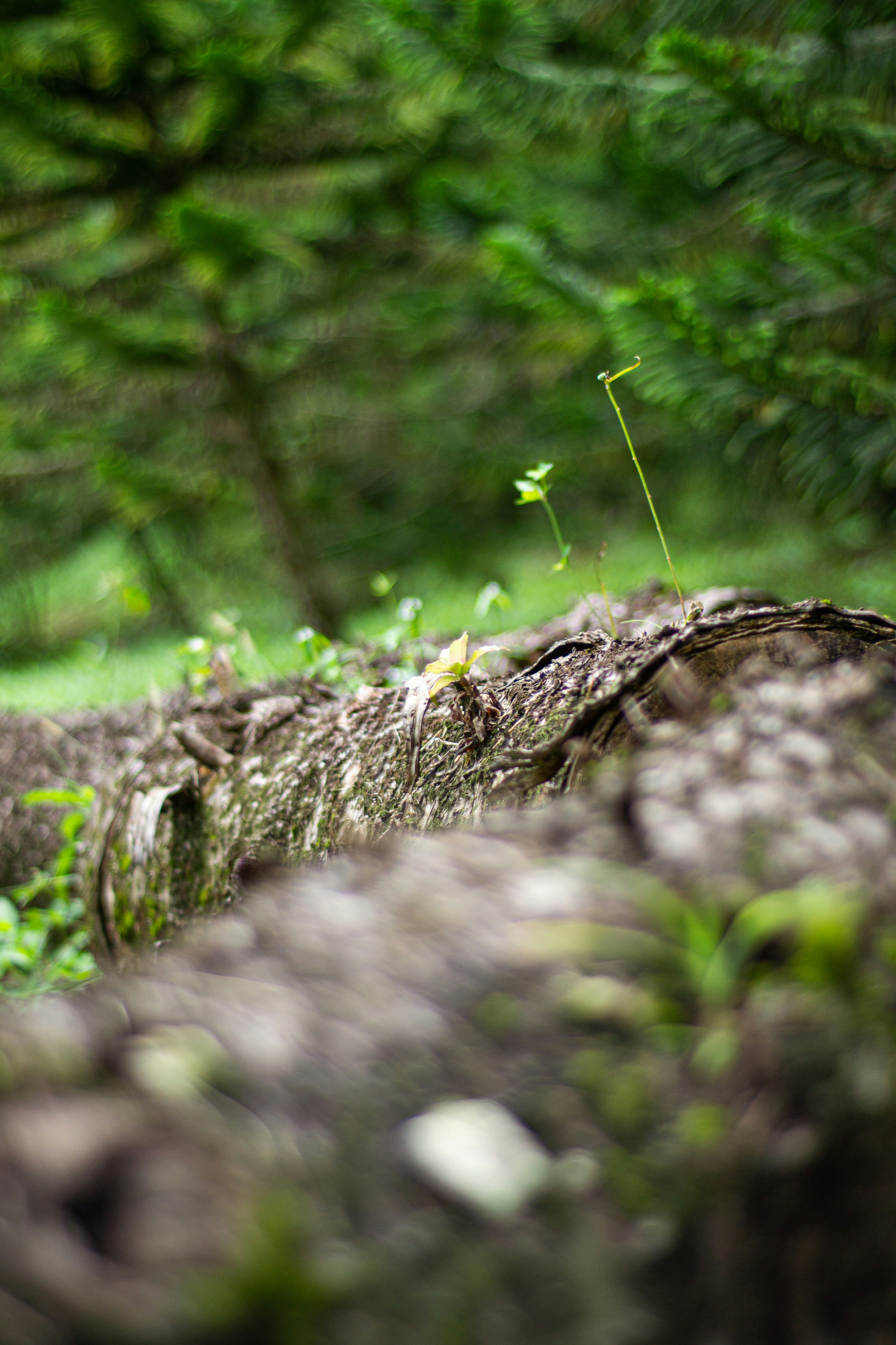 Photo by agustin_pimentel